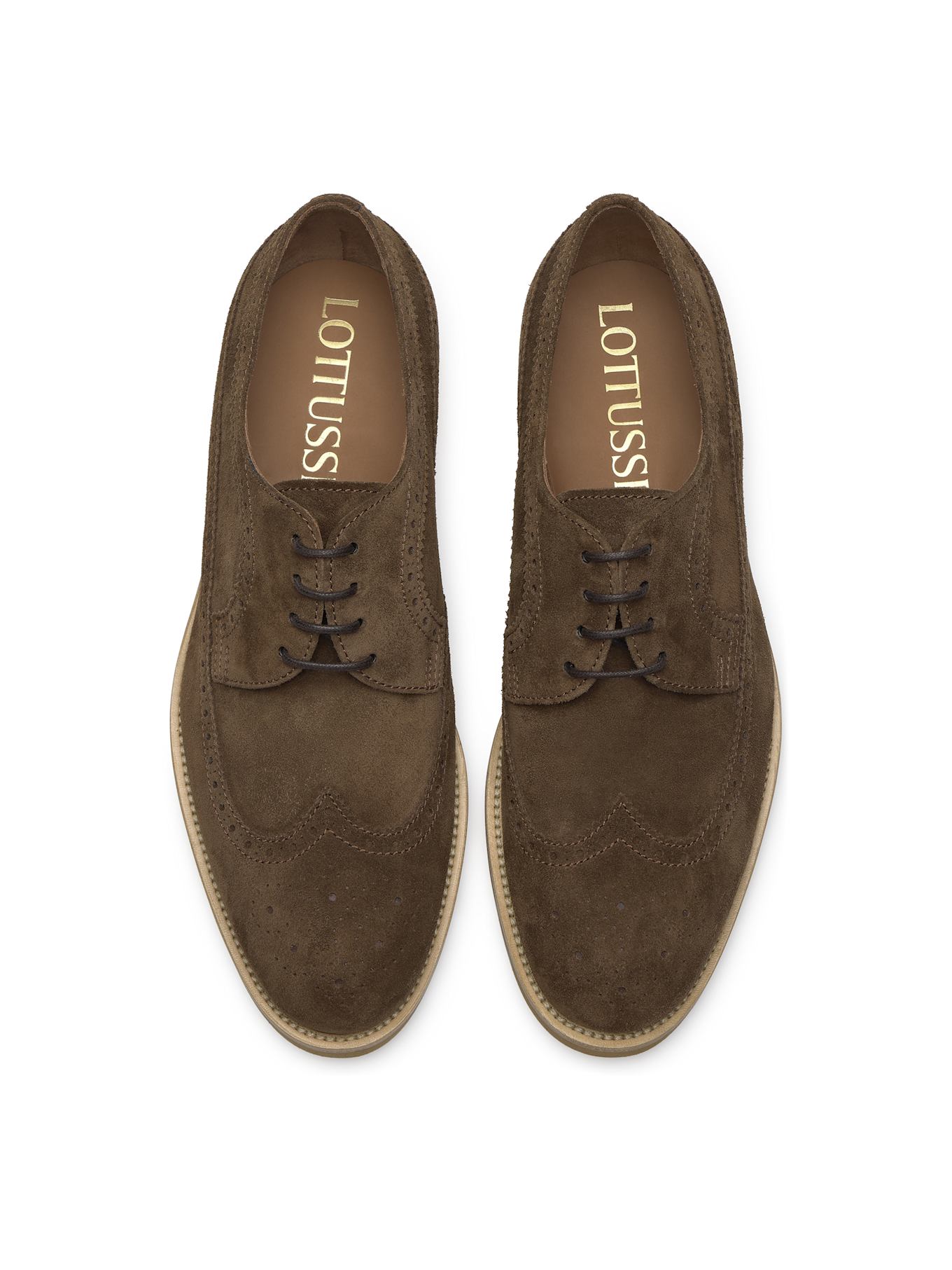 LOTTUSSE Derby CAVOUR: BRAUN