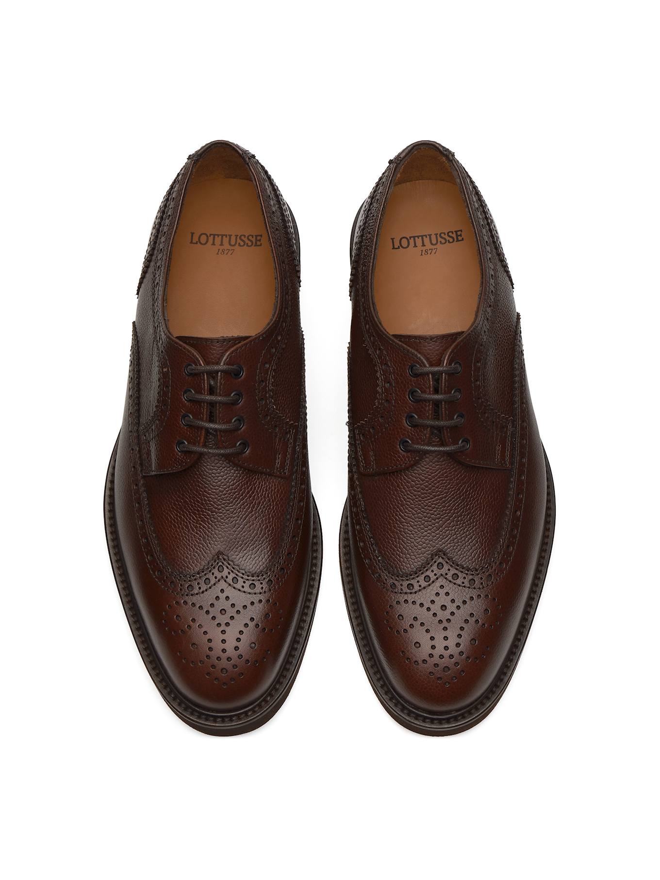 LOTTUSSE Derby BALTIMORE: BRAUN