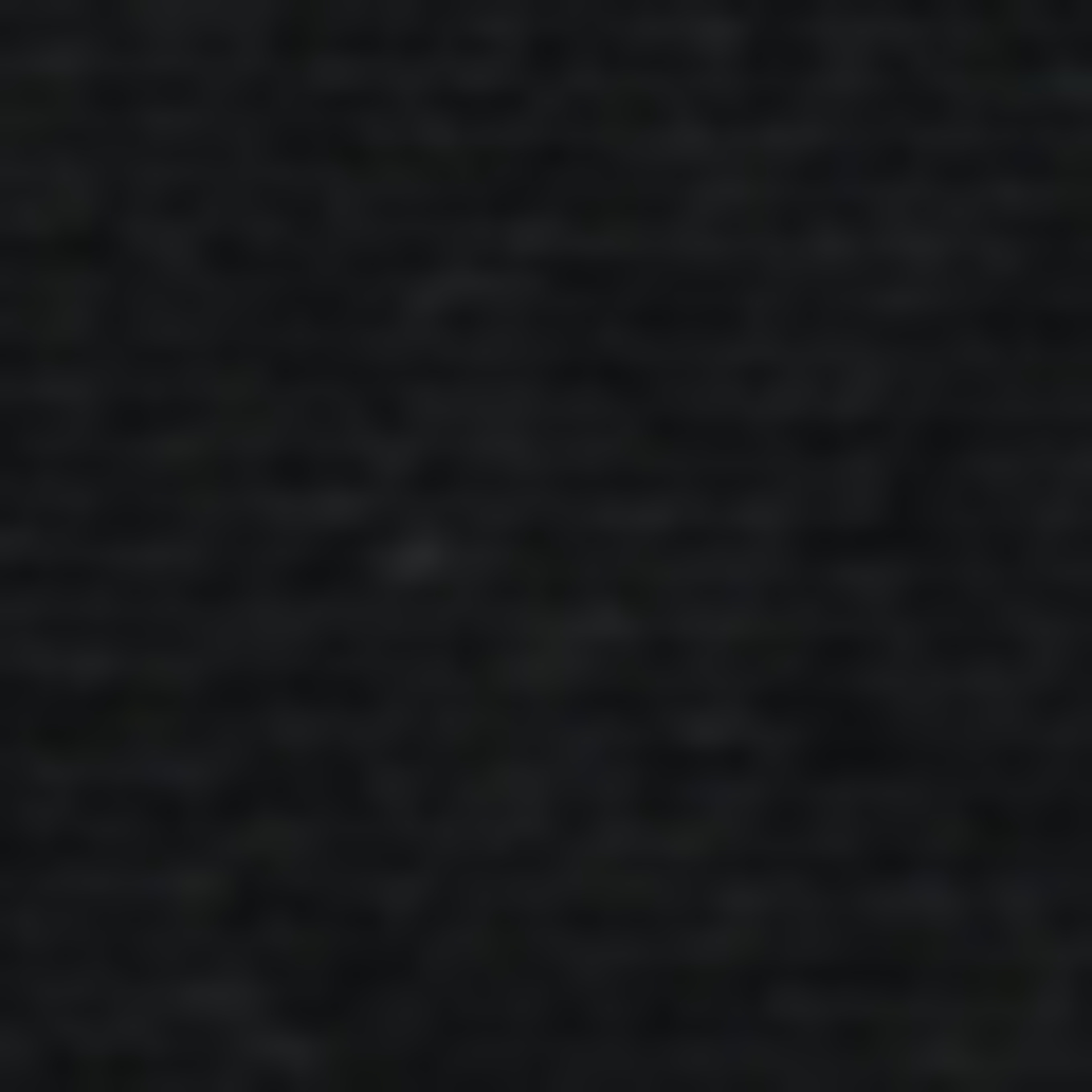 erlich textil String LIGHT TOUCH: SCHWARZ