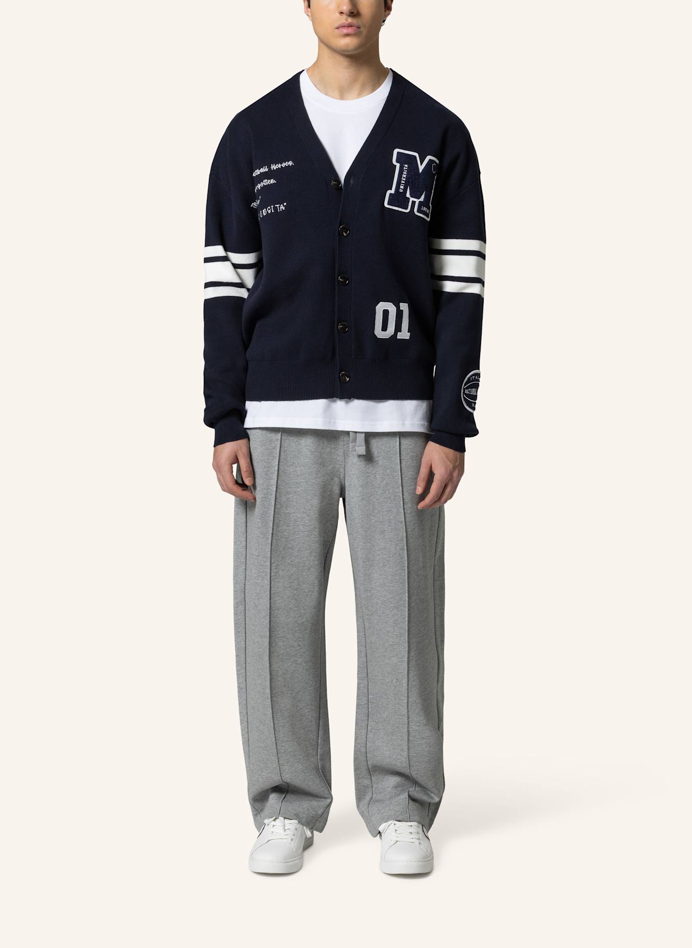 19V69 ITALIA Hose im Jogging-Stil MICHELE COLLEGE: GRAU