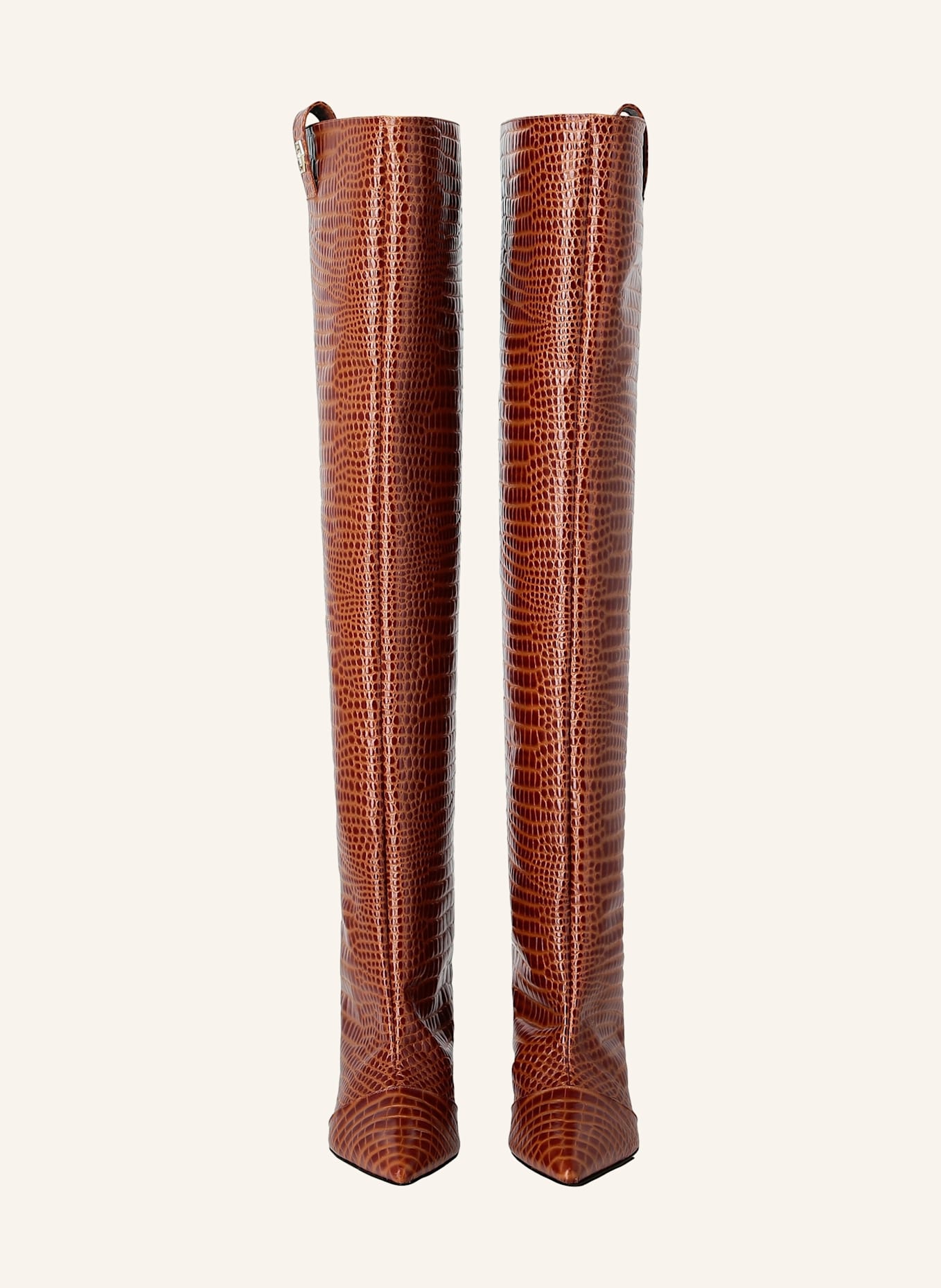 PHILIPP PLEIN Stiefel Niedrige Absätze Overknee COCCO: BRAUN