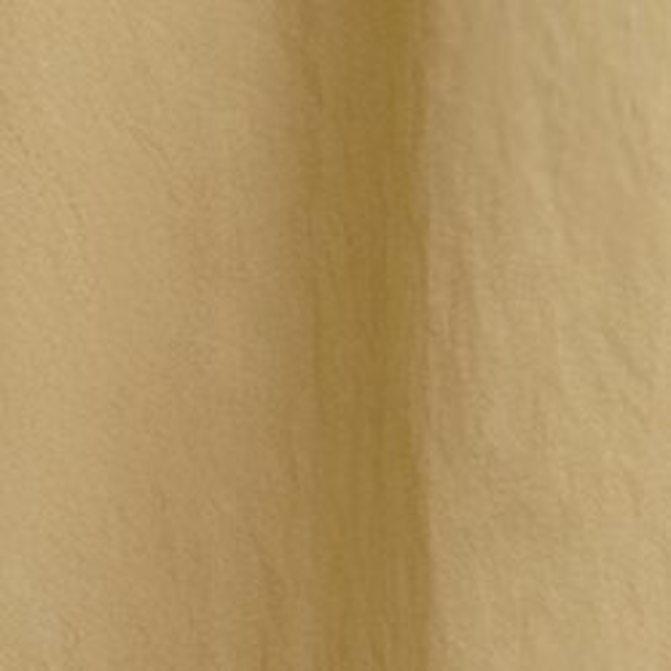 ESSENTIEL ANTWERP Schneiderhosen ISO: BEIGE