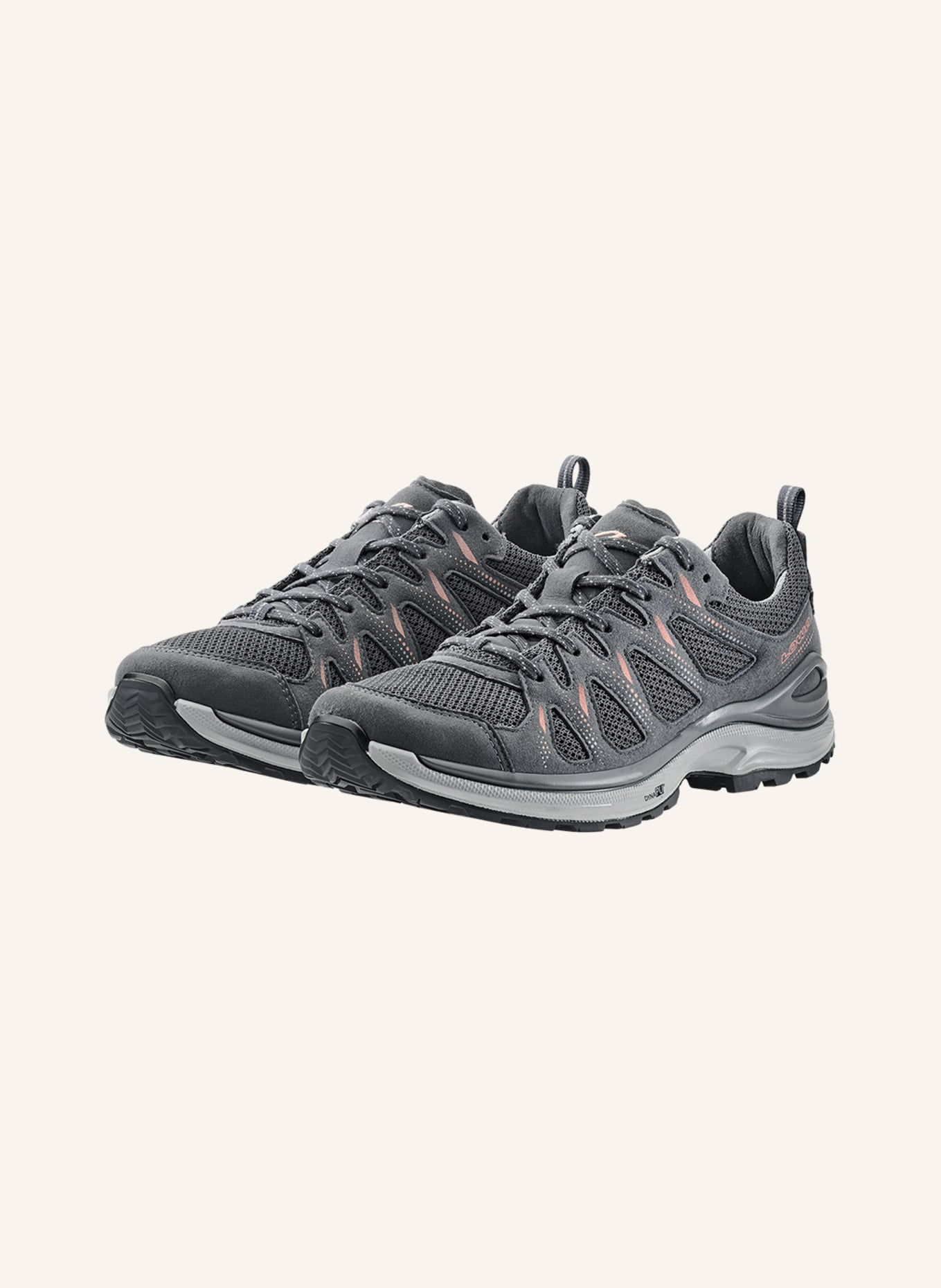 LOWA Outdoor-Schuhe INNOX EVO II LO Ws: GRAU