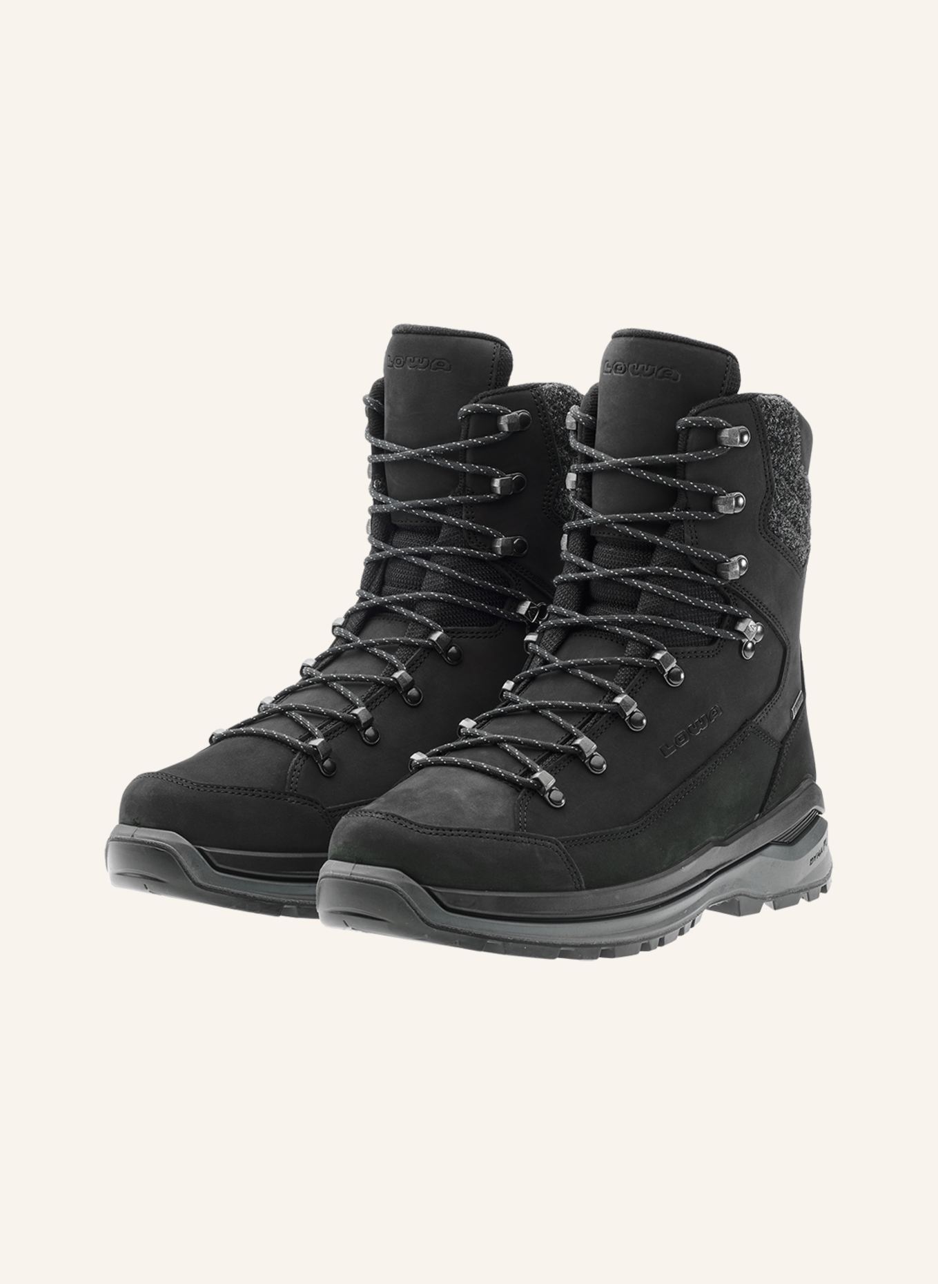 LOWA Outdoor-Schuhe RENEGADE EVO ICE 2 GTX: SCHWARZ