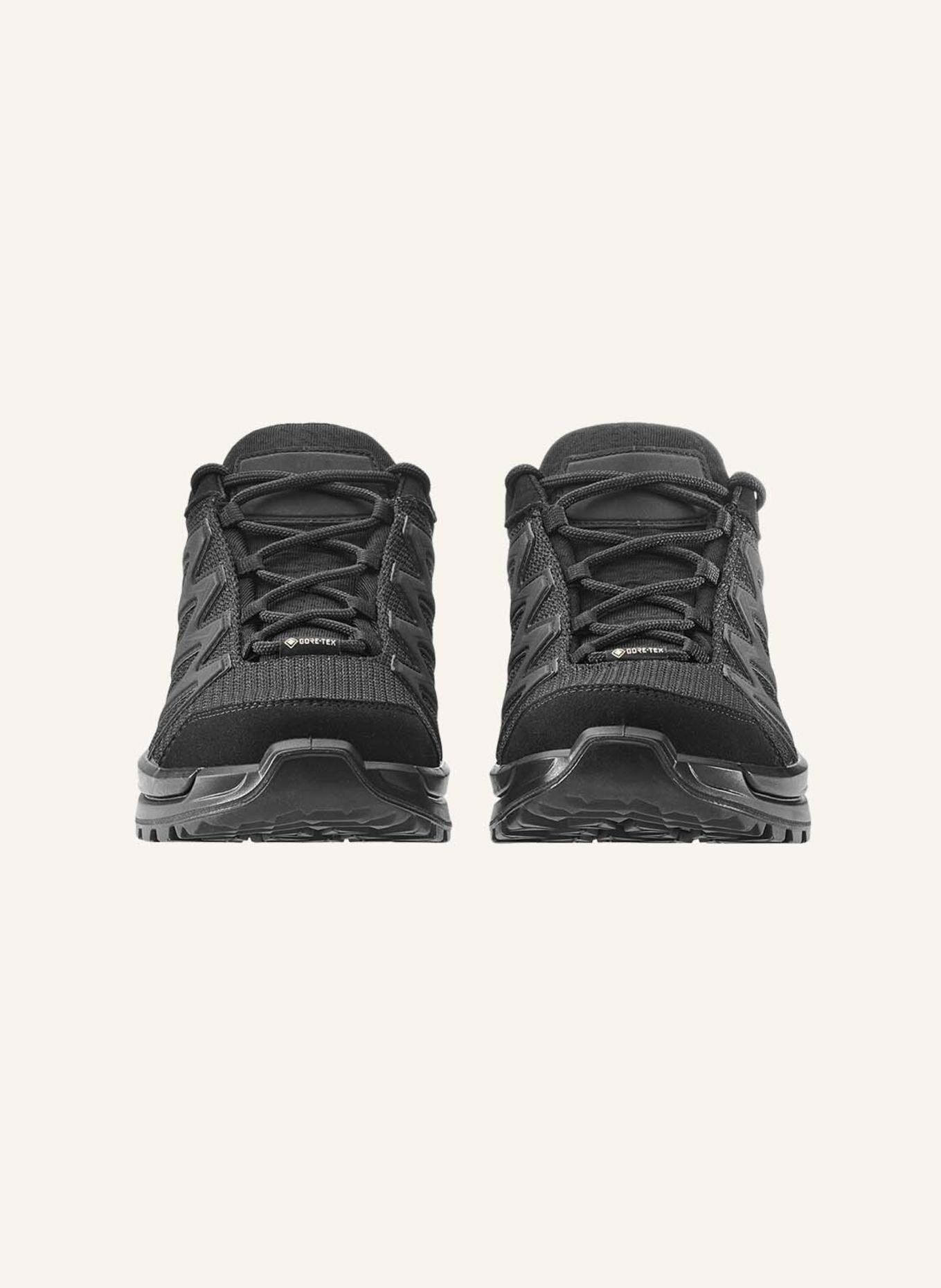 LOWA PROFESSIONAL Outdoor-Schuhe INNOX PRO GTX LO TF: SCHWARZ