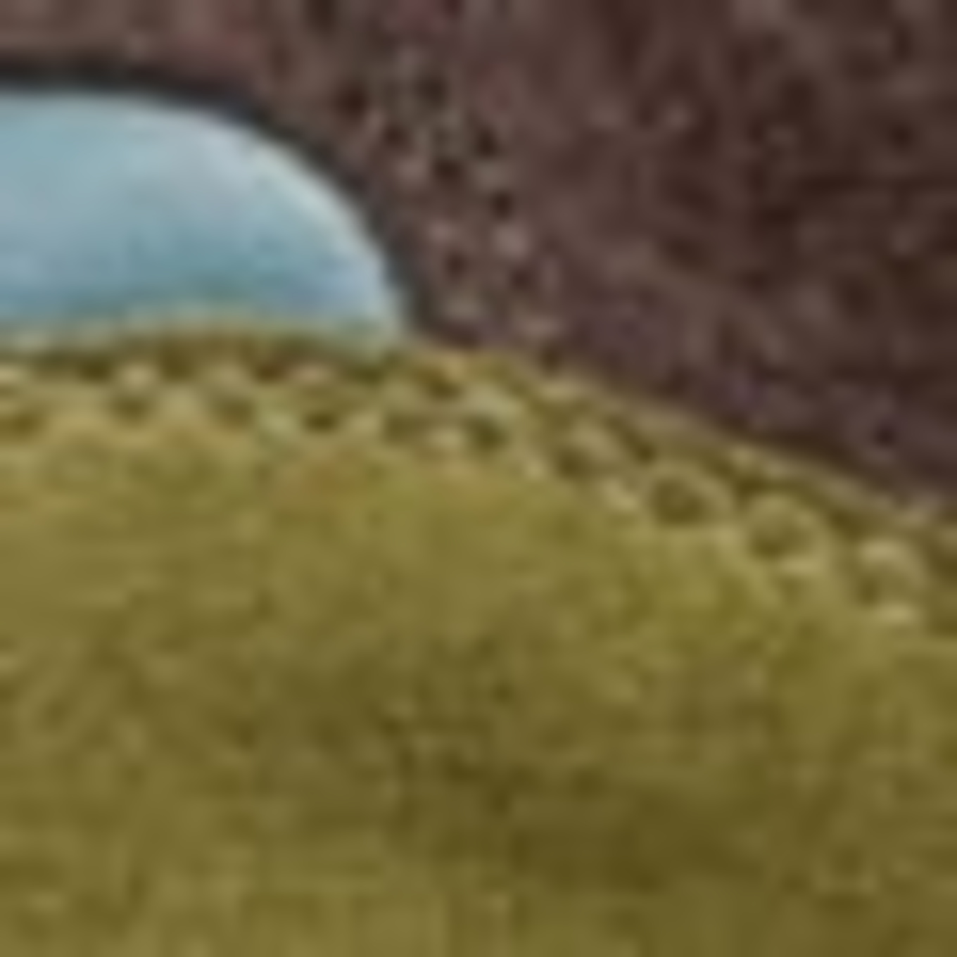 Floris van Bommel Sneaker DE GRIPPER 01: COGNAC