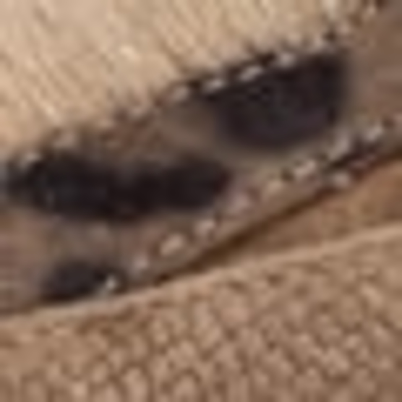 Floris van Bommel Sneaker SUVI 03: TAUPE