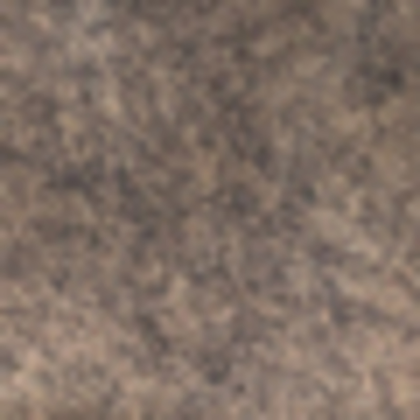 Floris van Bommel Stiefelette DE TANKER 07: HELLBRAUN