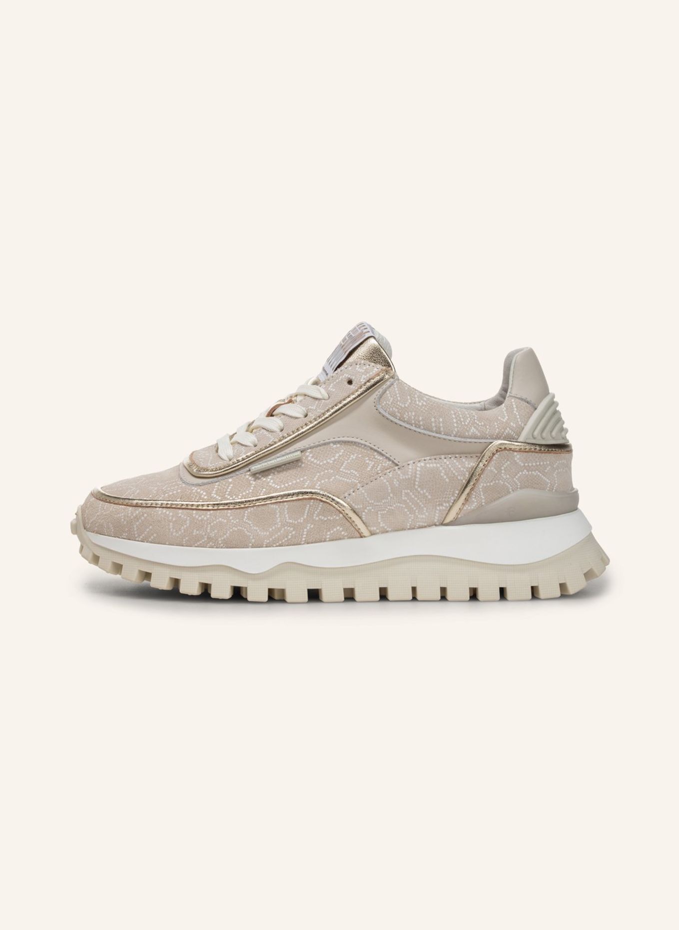 Floris van Bommel Sneaker GROMMI 02: TAUPE