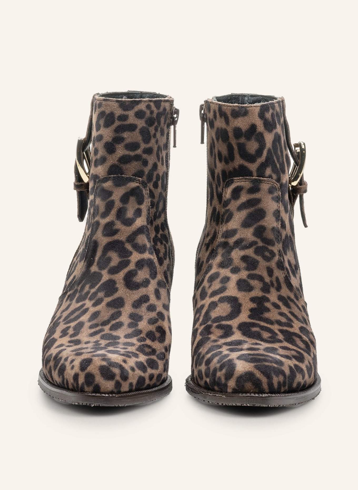 Floris van Bommel Stiefelette EVI 05: TAUPE