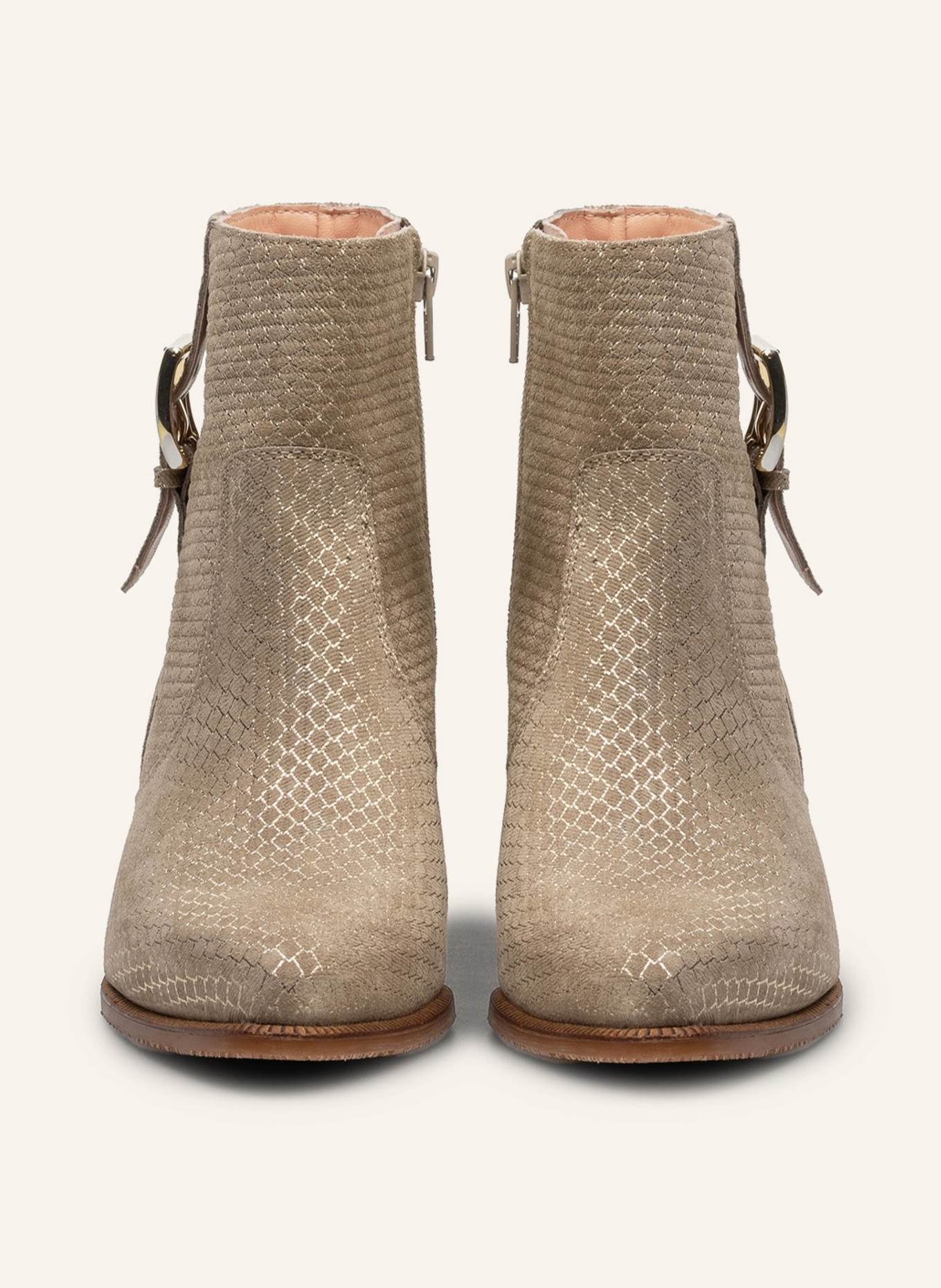 Floris van Bommel Stiefelette EVI 05: BEIGE