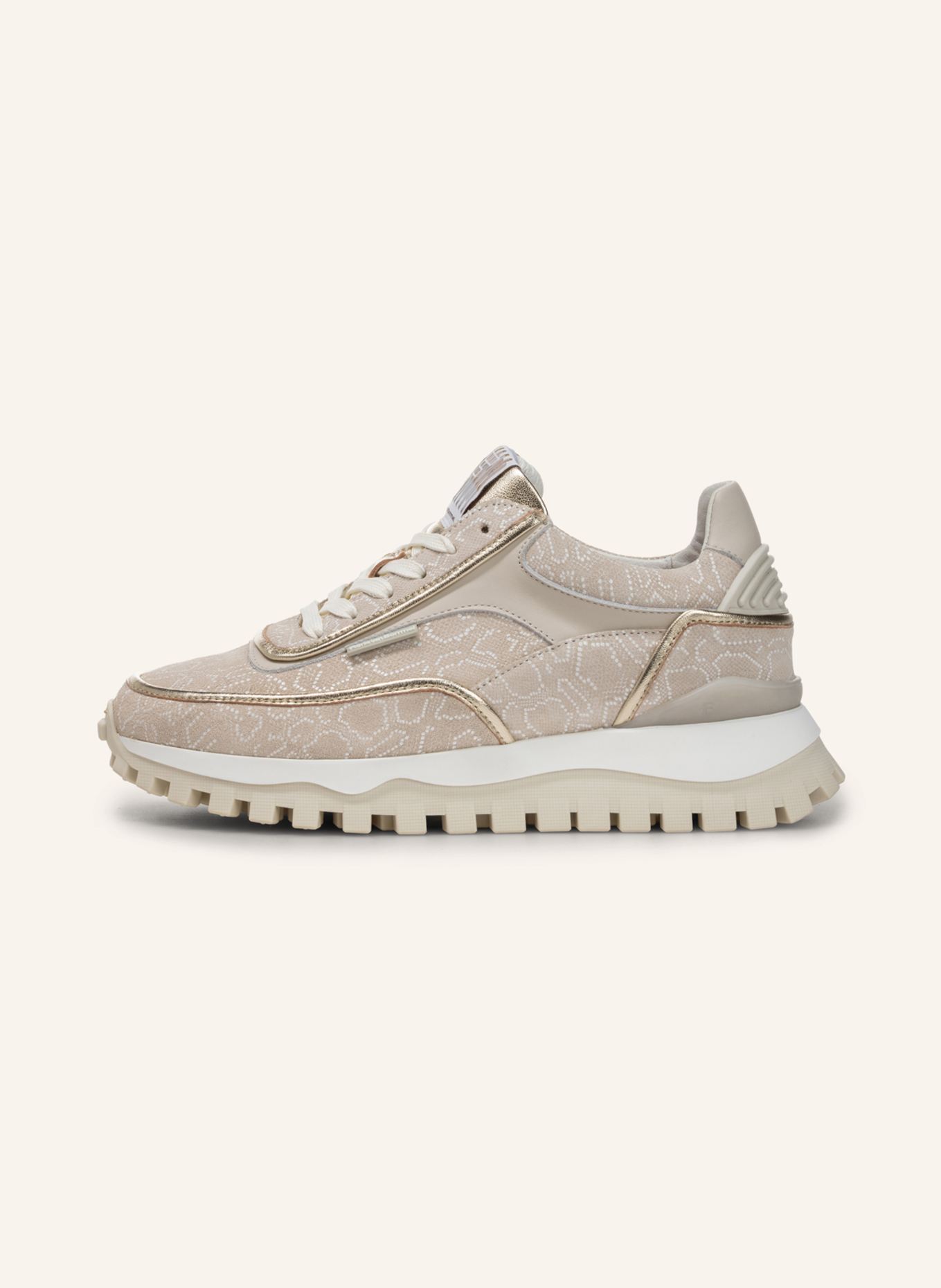 Floris van Bommel Sneaker GROMMI 02: TAUPE
