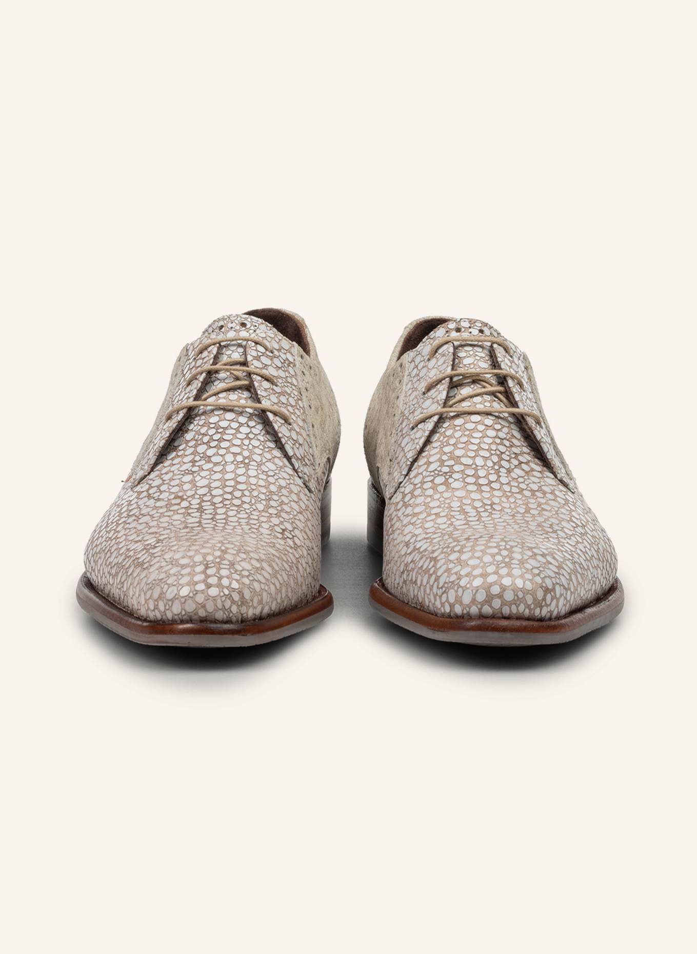 Floris van Bommel Schnürer DE STAPPER 39: BEIGE