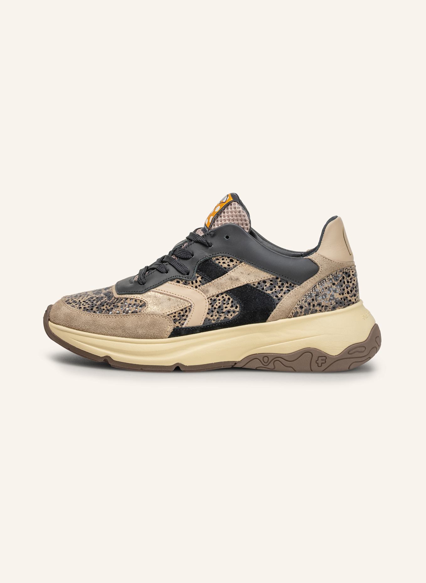 Floris van Bommel Sneaker HOLLI 01: TAUPE