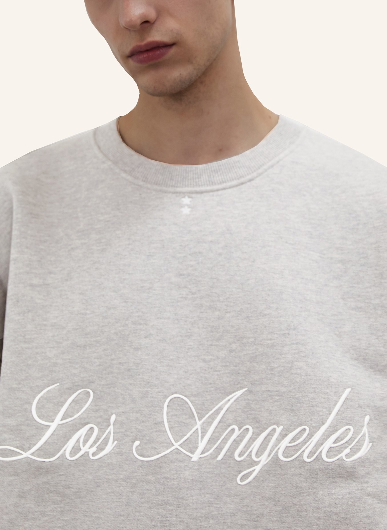 ICON DENIM Sweatshirt FITZ: GRAU