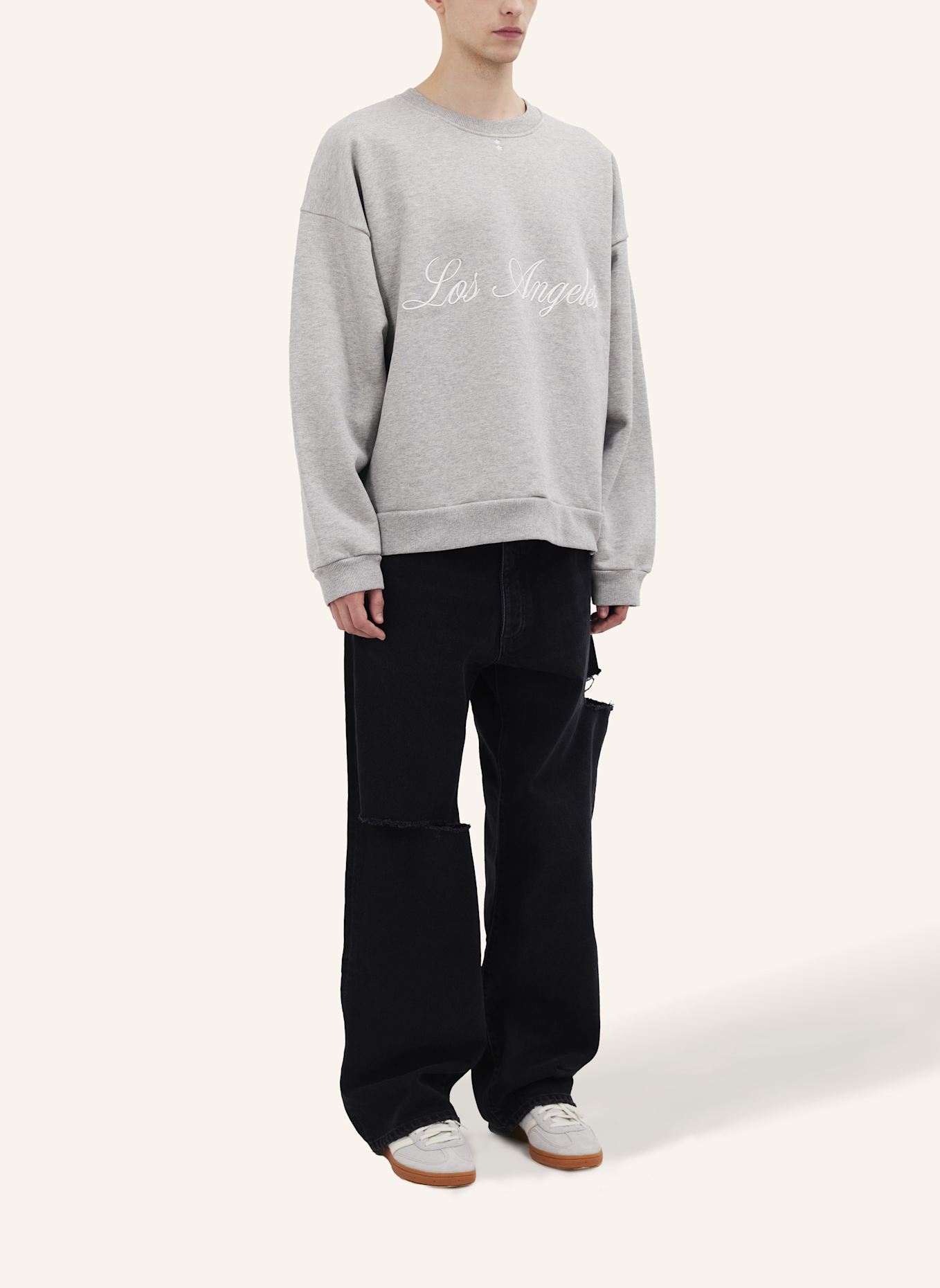 ICON DENIM Sweatshirt FITZ: GRAU