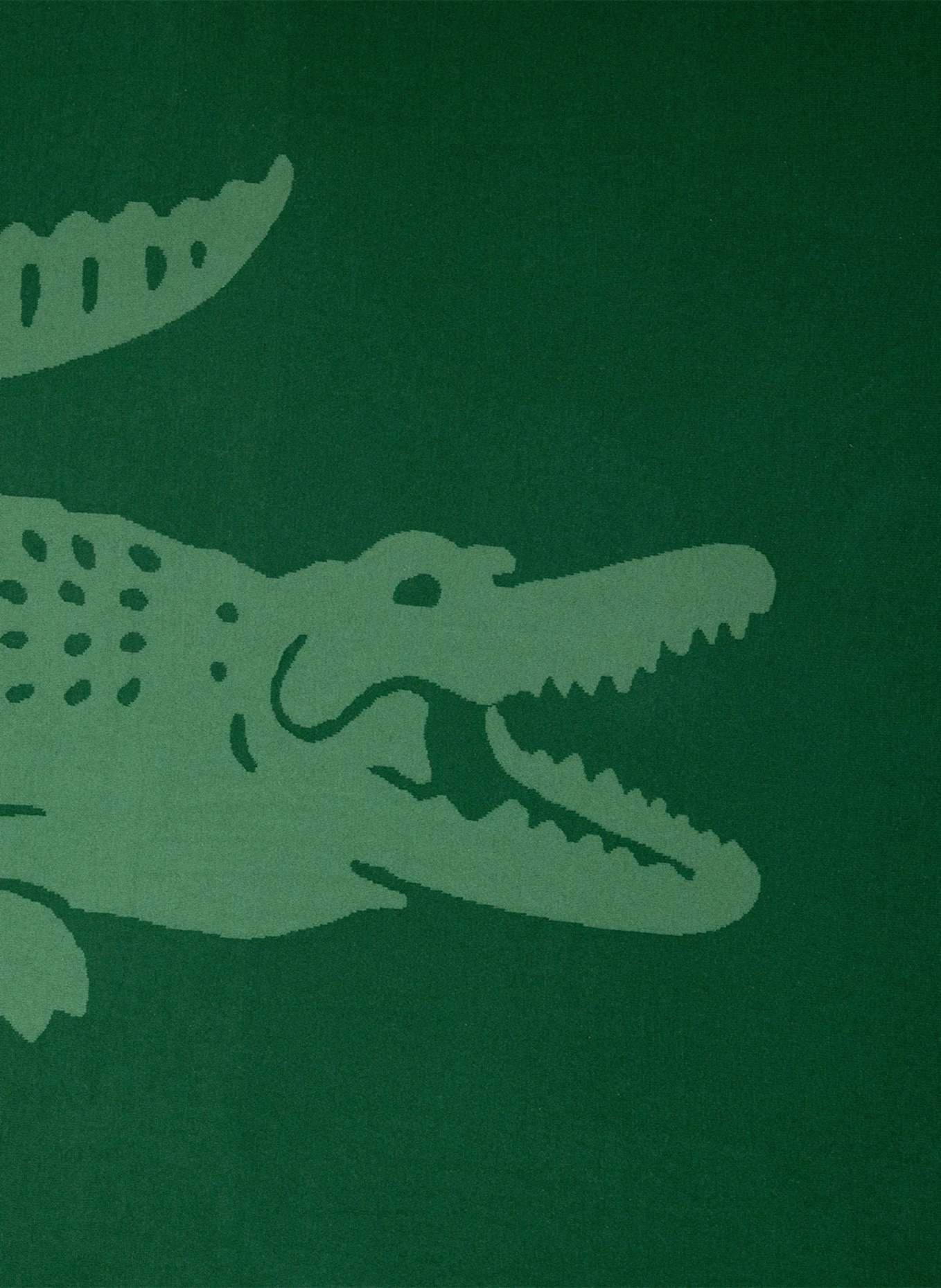 LACOSTE Plaid LREFLET: GRÜN