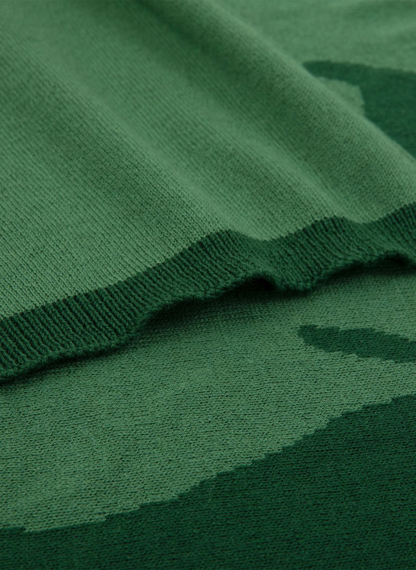 LACOSTE Plaid LREFLET: GRÜN