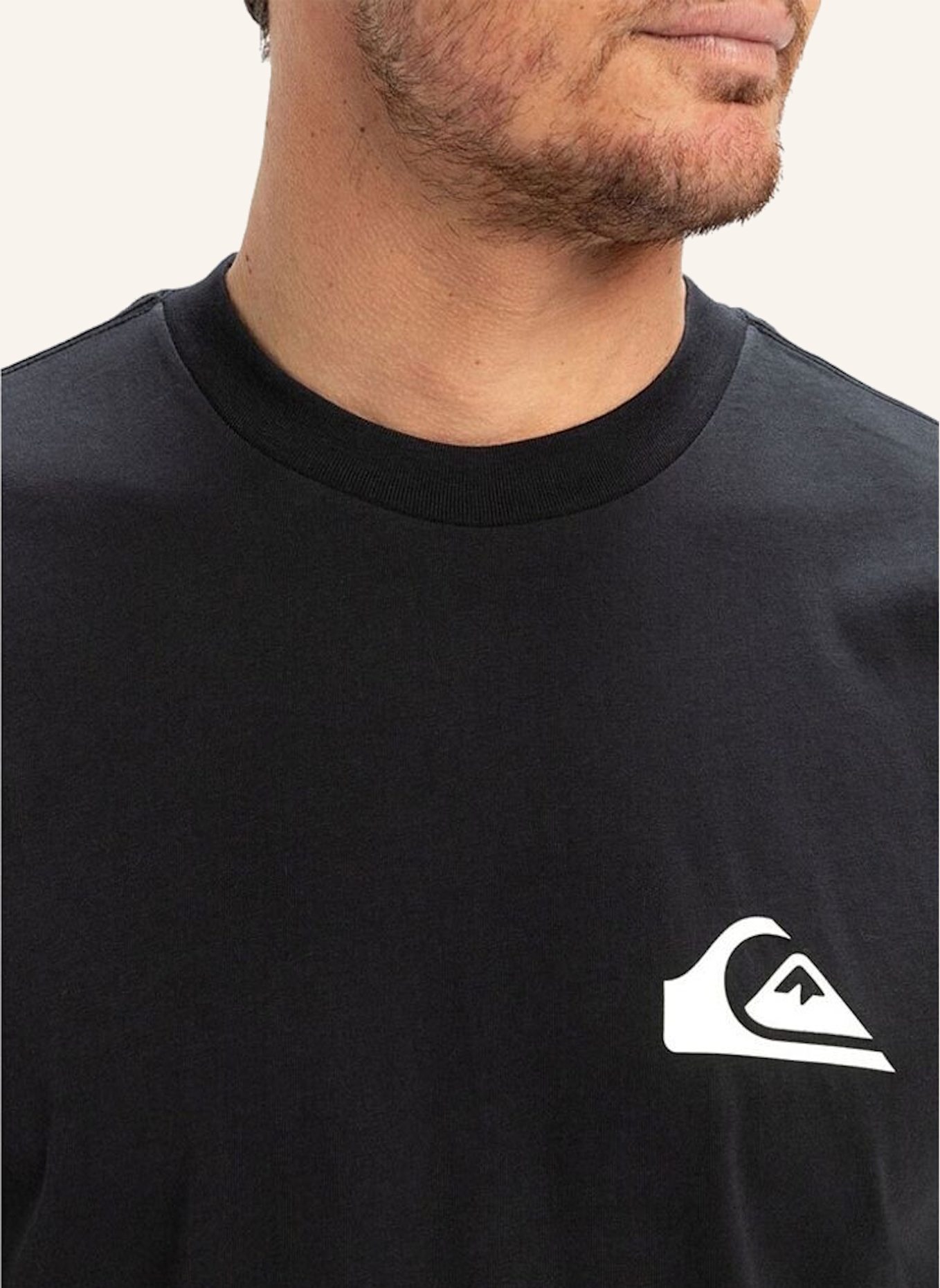 QUIKSILVER T-Shirt EV MINI LOGO: SCHWARZ