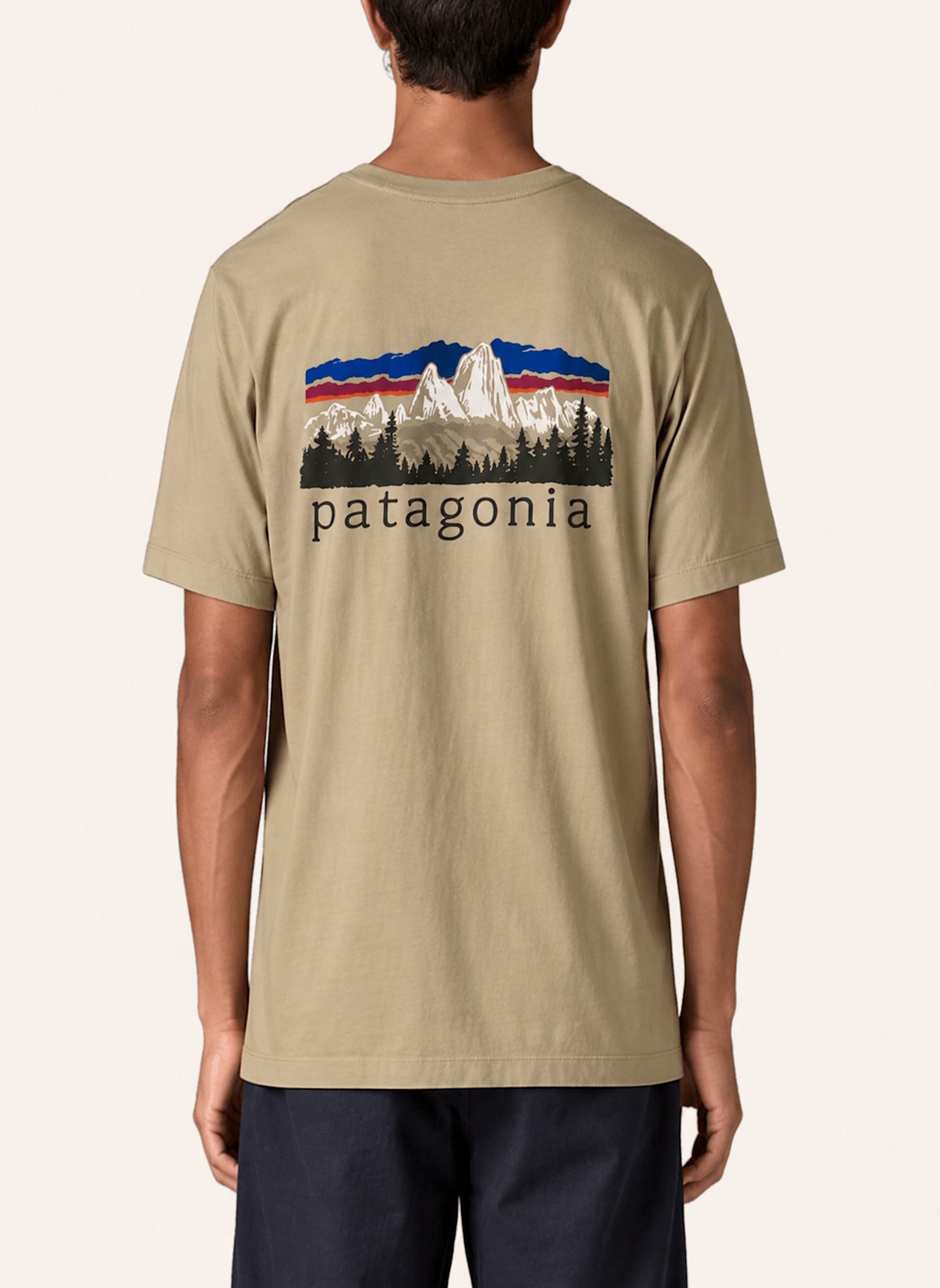 patagonia T-Shirt FITZ ROY FOOTHILLS: BEIGE