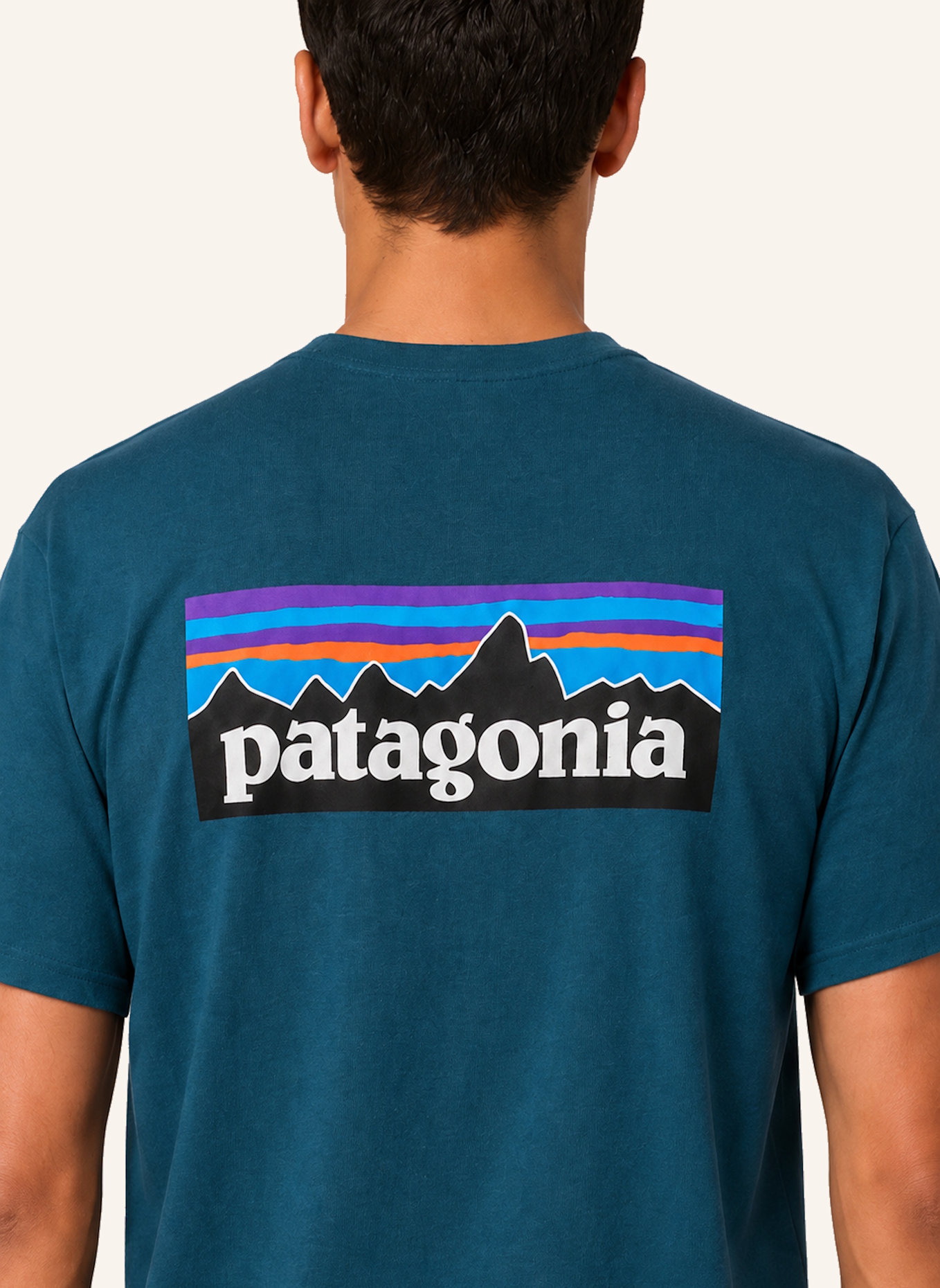 patagonia T-Shirt P-6 RESPONSIBILI TEE: BLAU