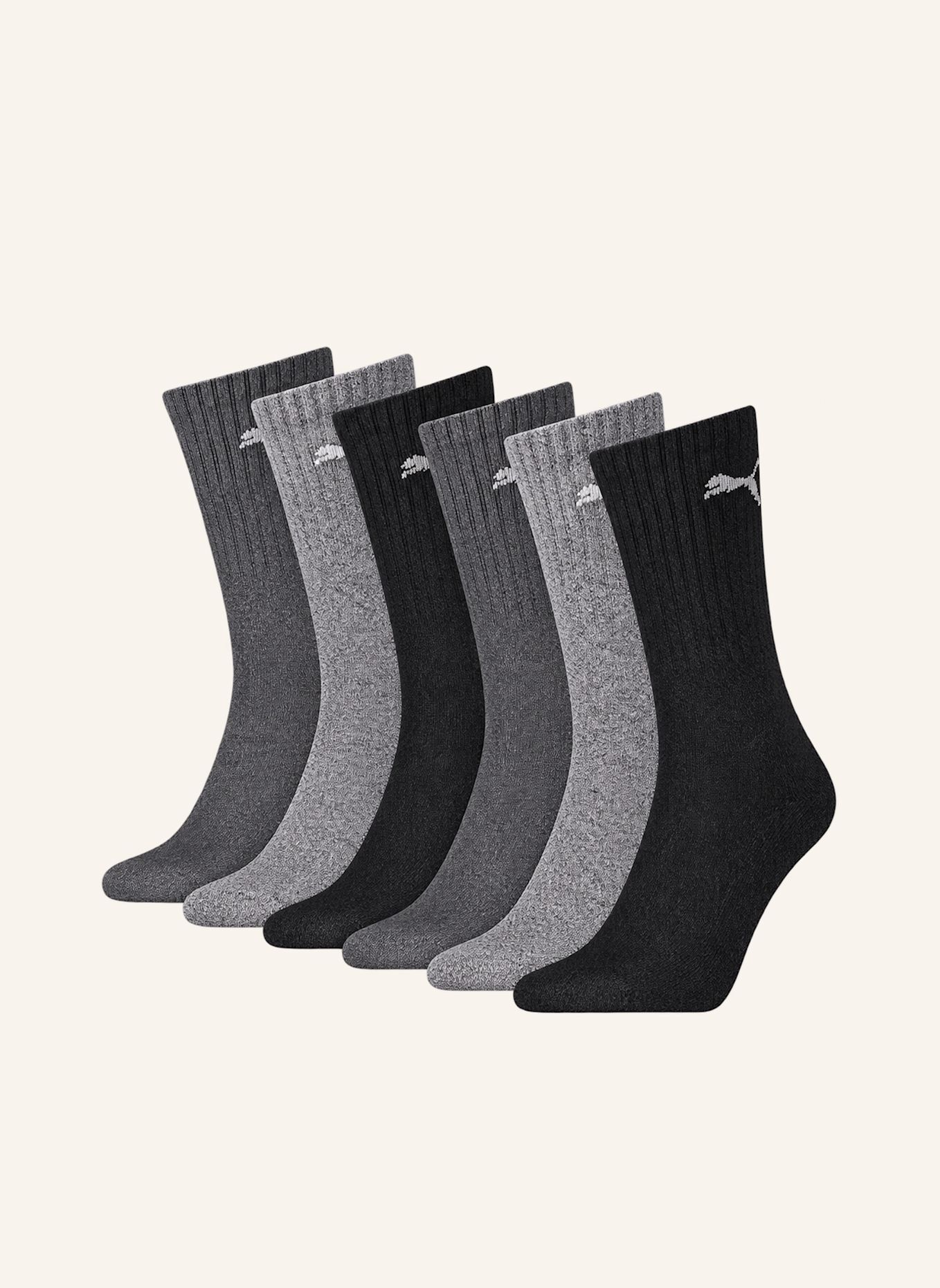PUMA Sportsocken REGULAR CREW 6-PACK: ECRU