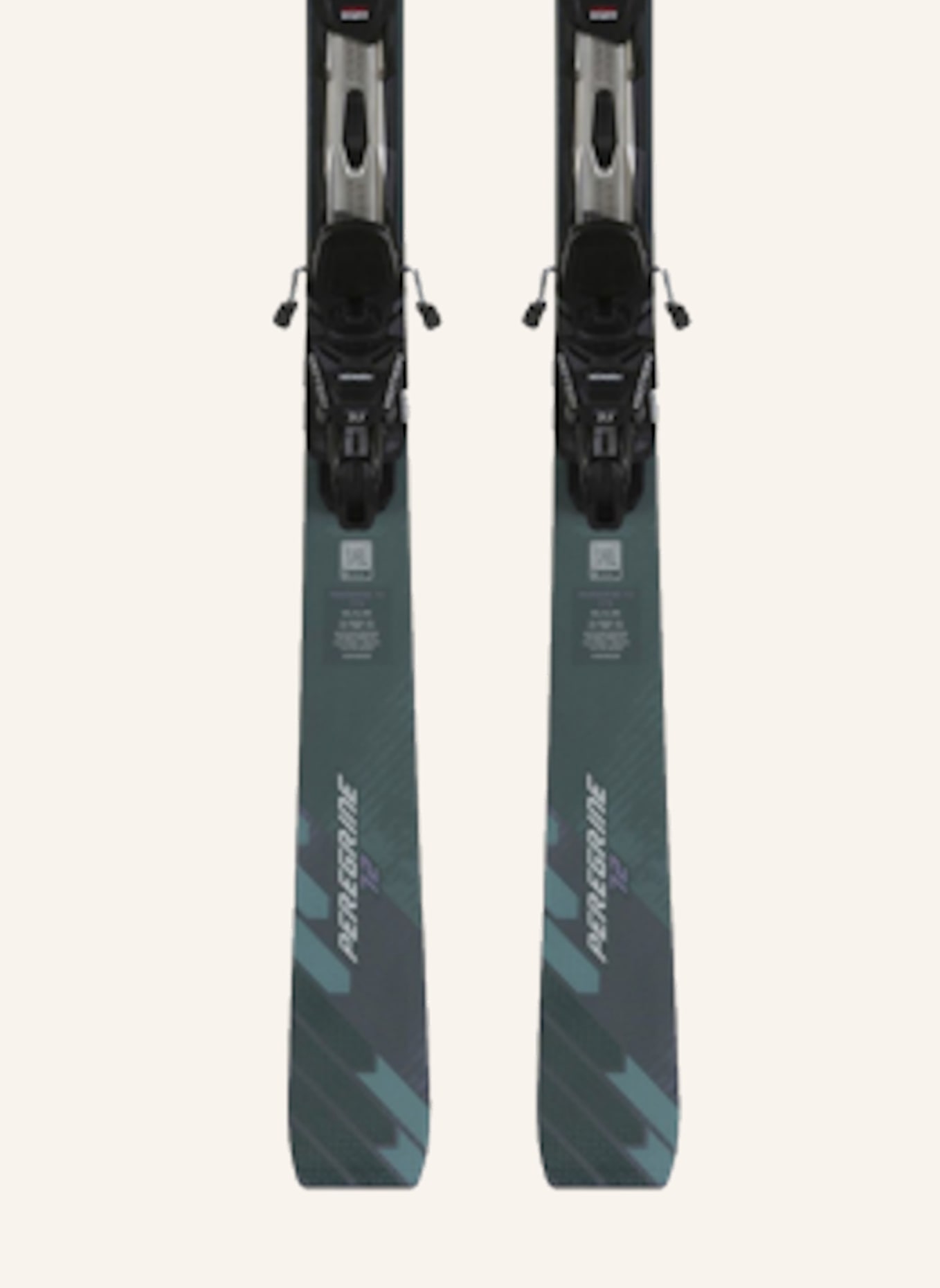 Völkl Ski PEREGRINE 72 2026: GRÜN