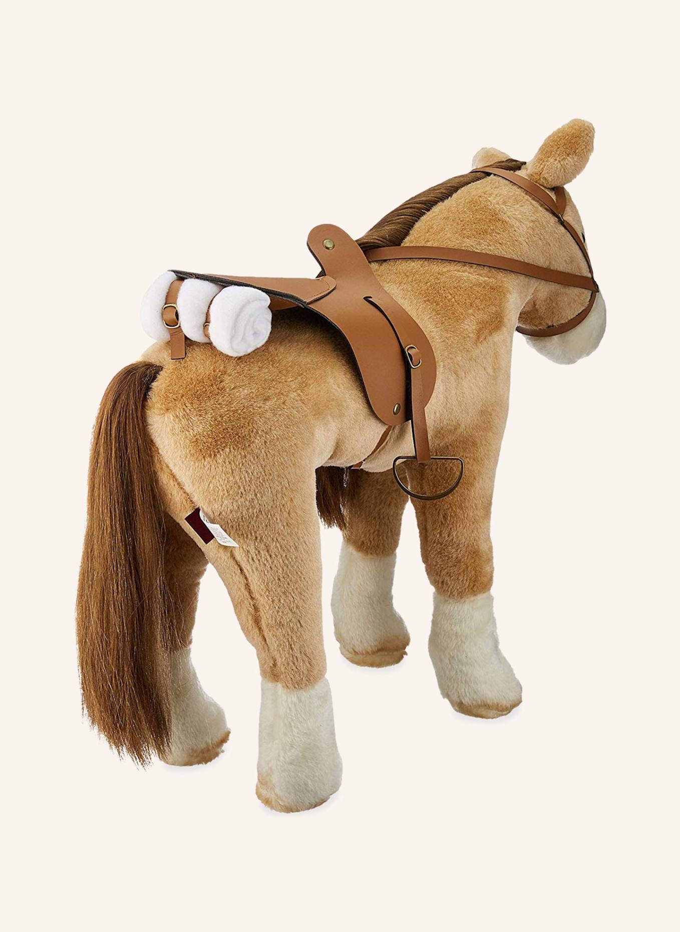 Götz Kämmpferd: CAMEL