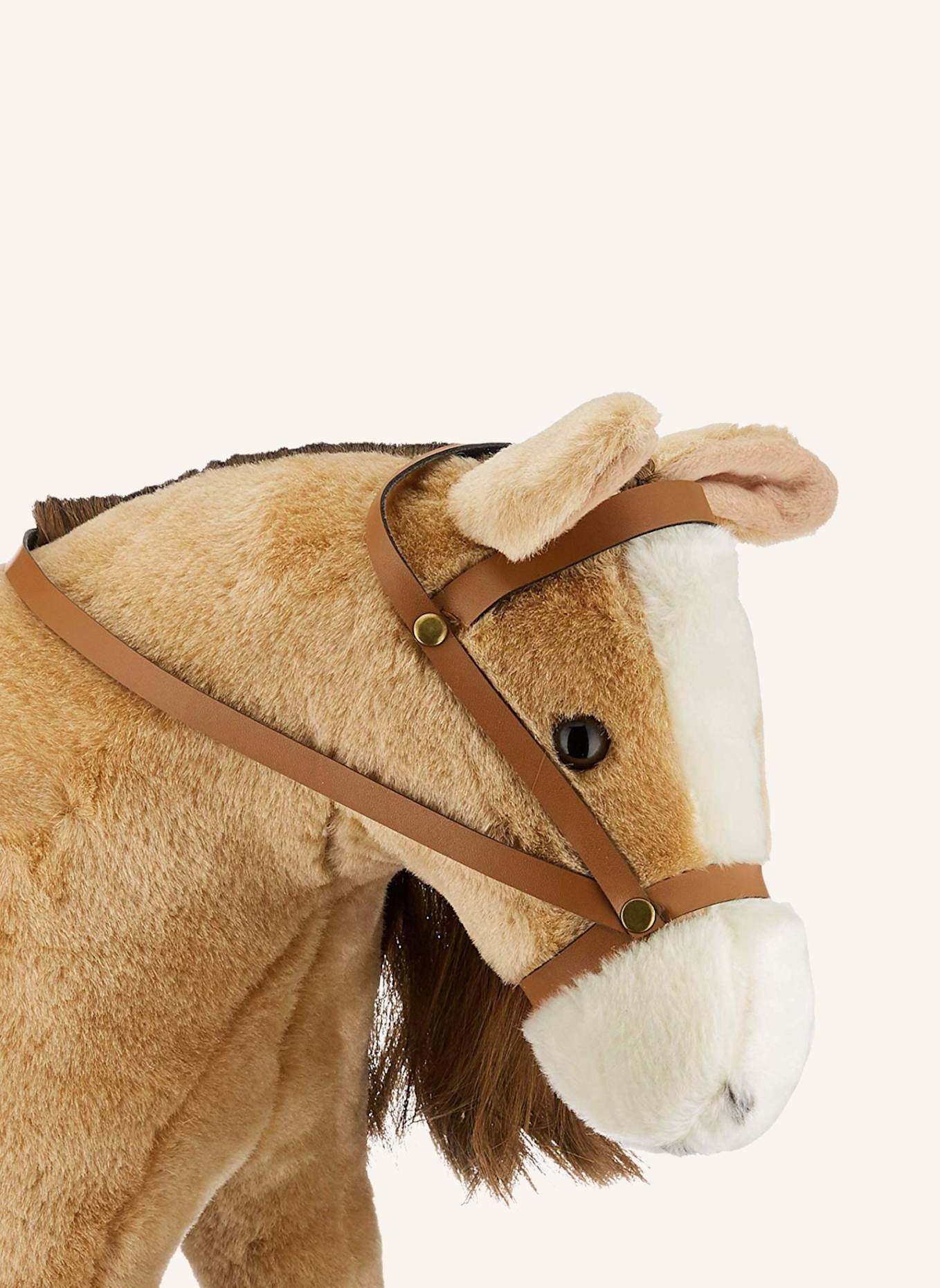 Götz Kämmpferd: CAMEL