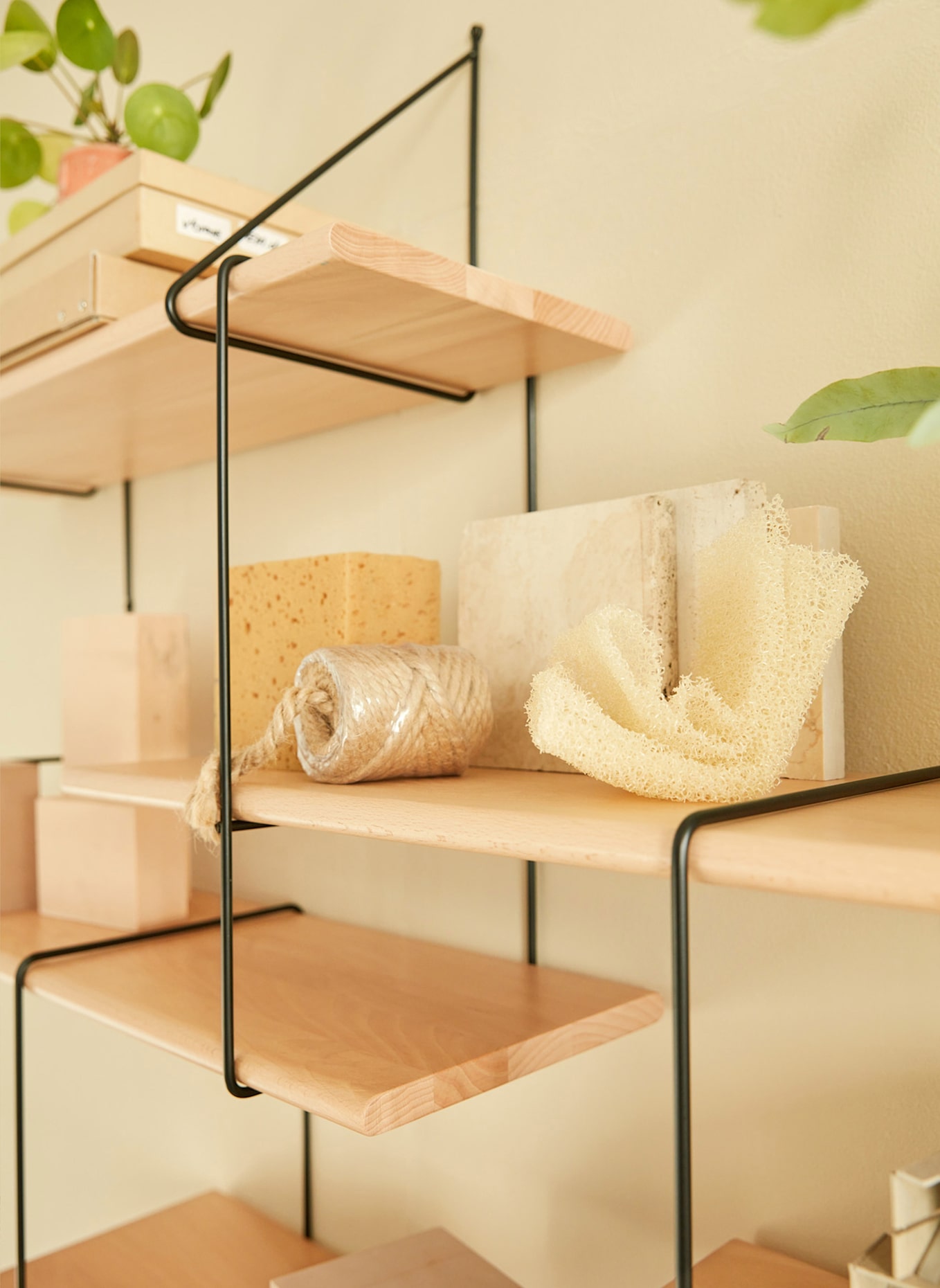 Studio Hausen Regal LINK DUO: BRAUN