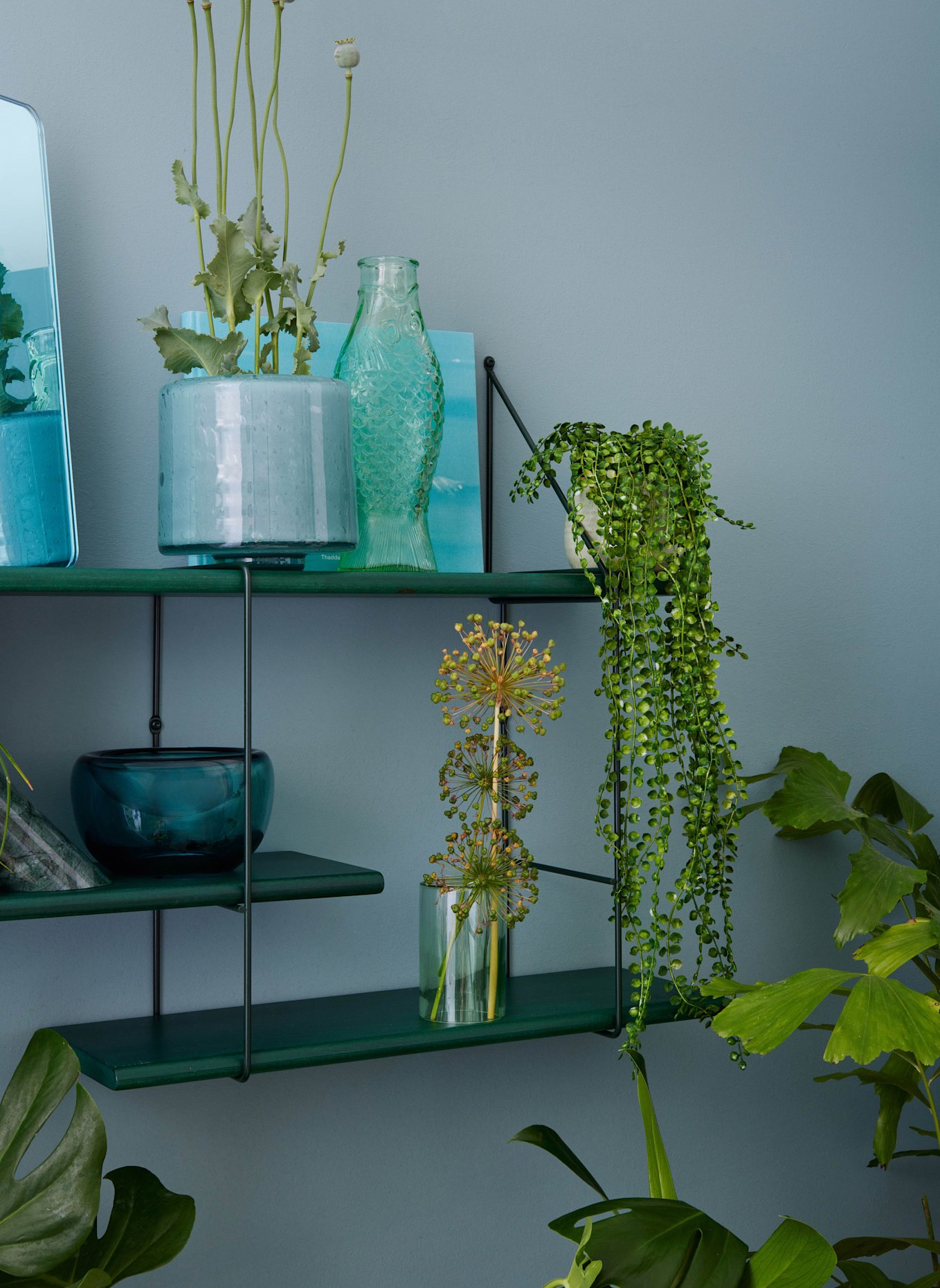 Studio Hausen Regal SHRINK: GRÜN