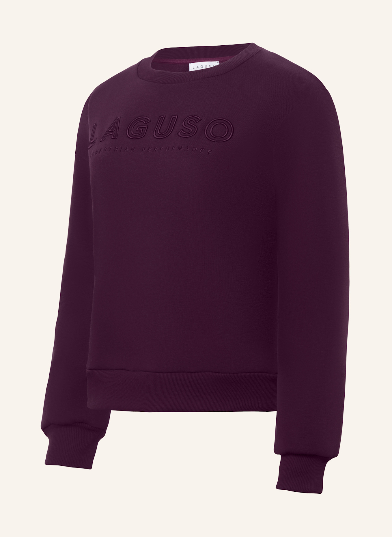 Laguso Sweatshirt THESI PLUM: LILA