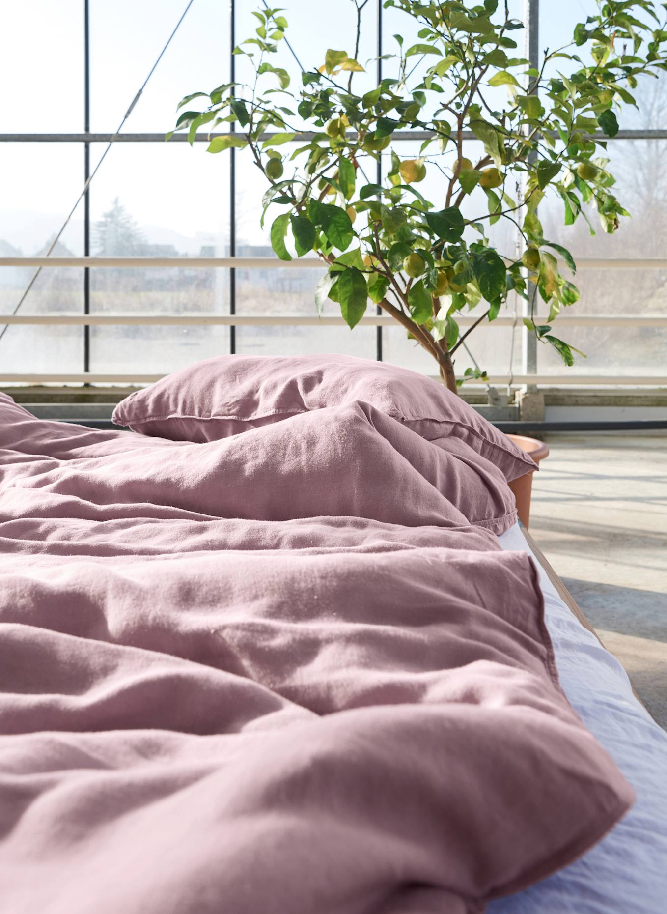 lavie Bettbezug LOTTA: DUNKELLILA