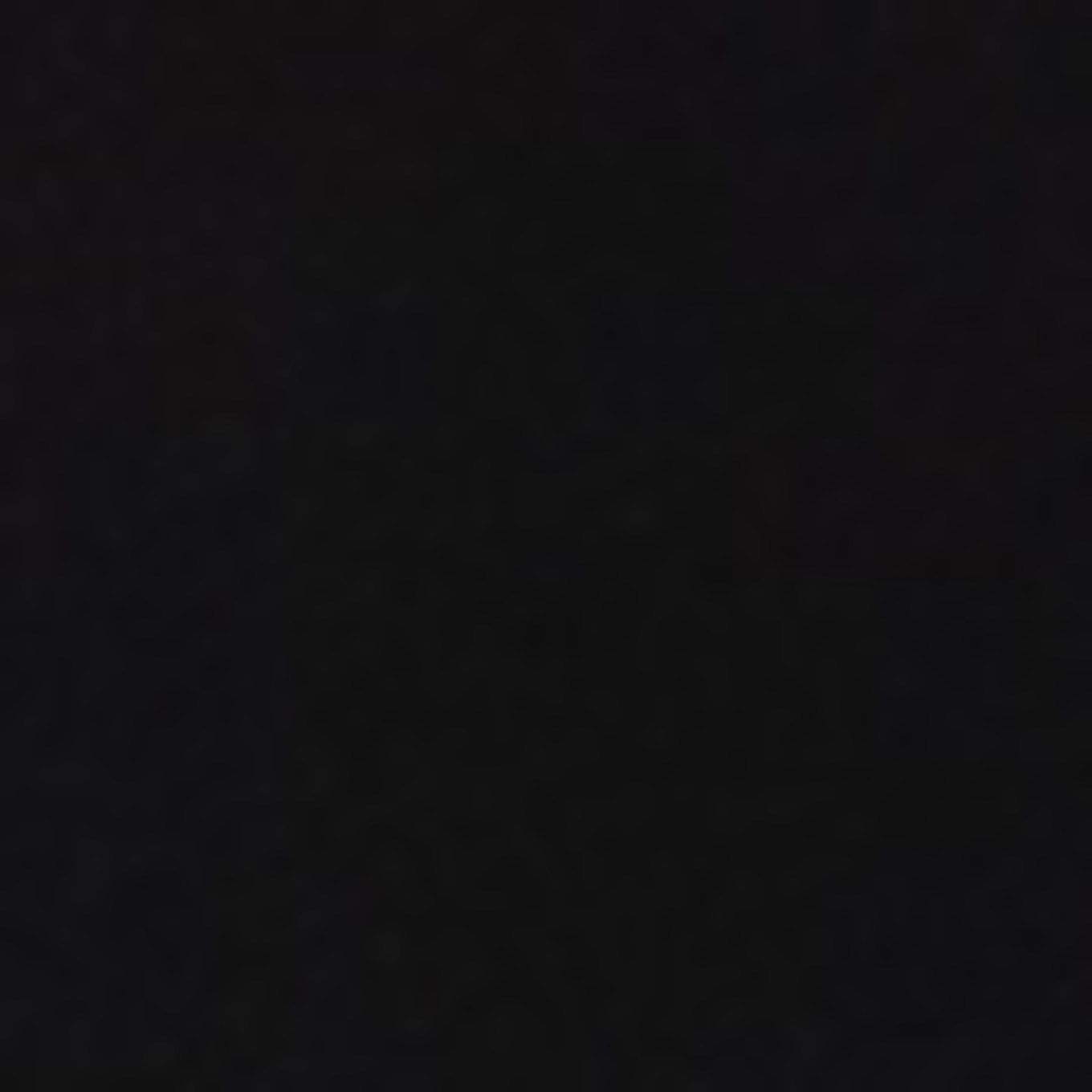 PINXIT Rollkragenpullover: SCHWARZ