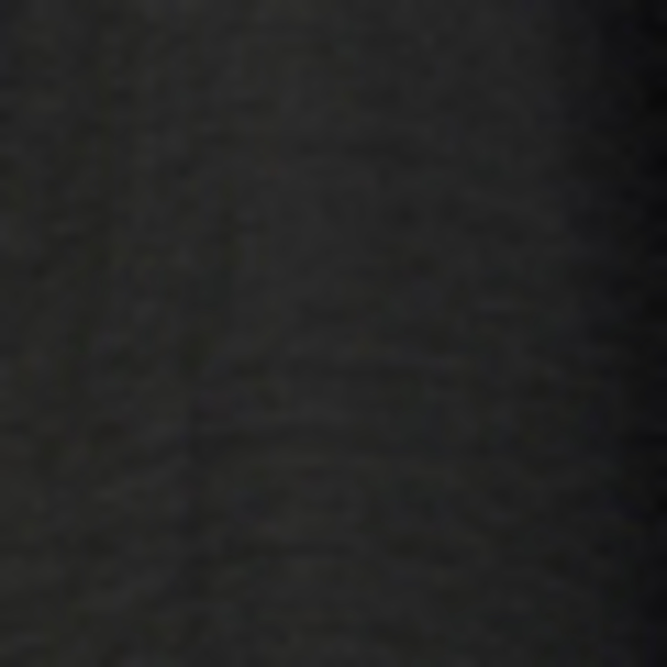 PINXIT bluse Rüschenbluse: SCHWARZ