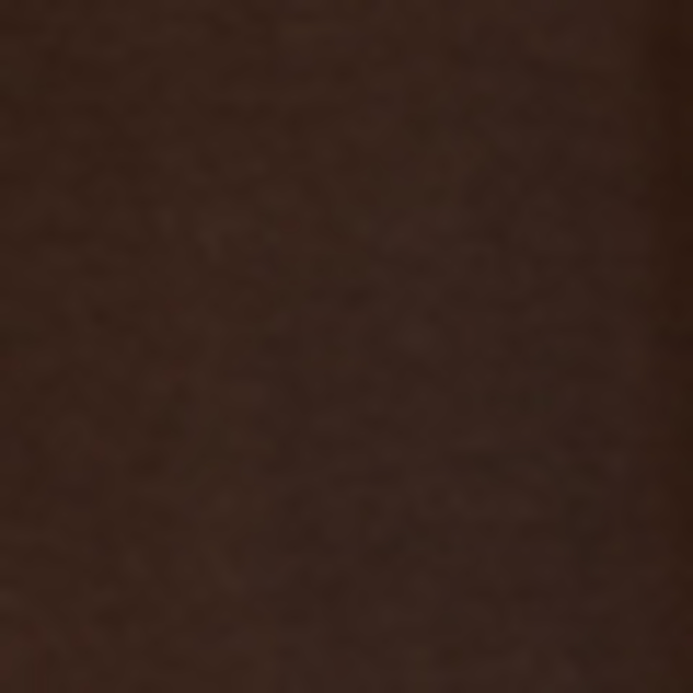 PINXIT T-Shirt: BRAUN