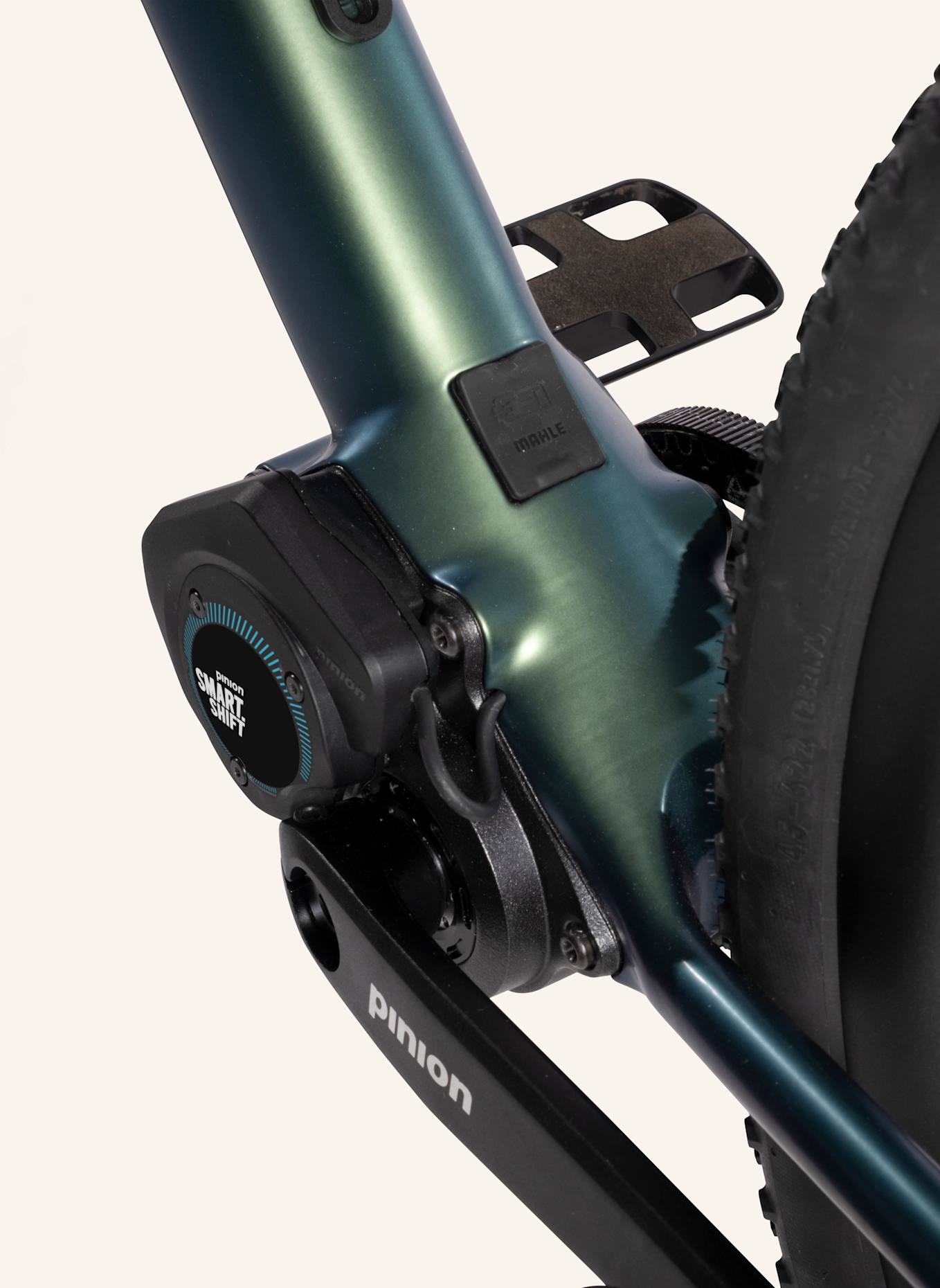 Urwahn Gravel E-Bike WALDWIESEL: GRÜN