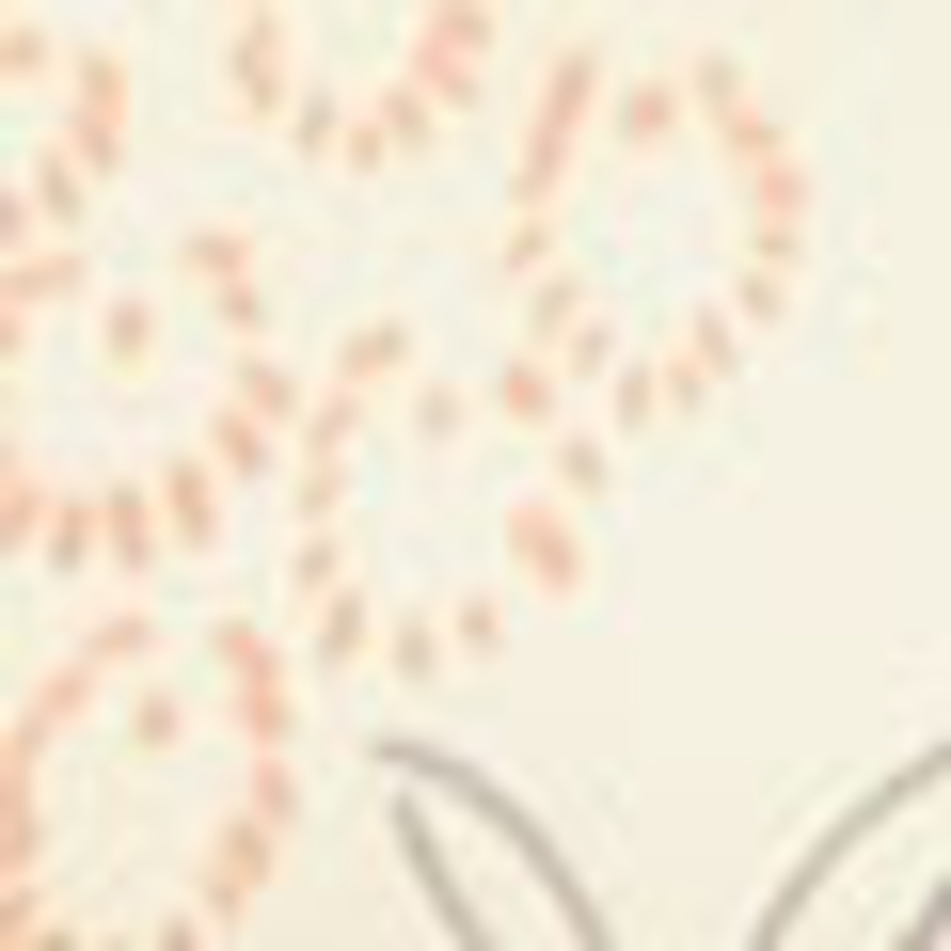 BIMBA Y LOLA Schal: GELB
