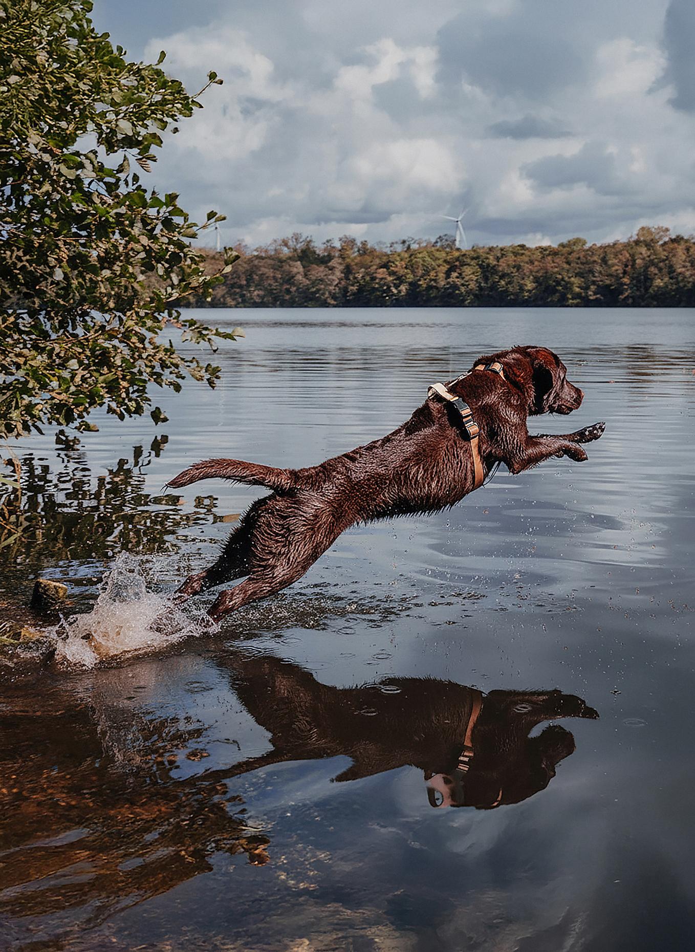 HEY LANA Hundegeschirr OUTDOOR FLEX: CAMEL/ BEIGE