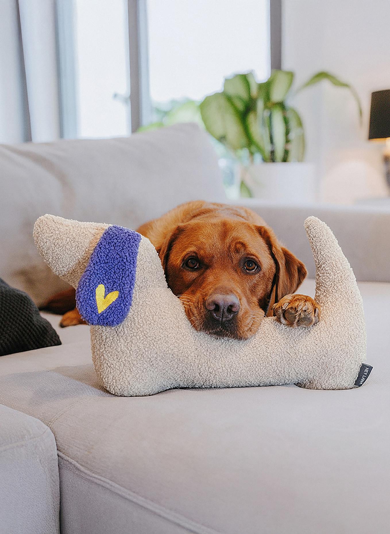 HEY LANA Hundekissen THE SNUGGLE PUP: LILA/ ORANGE