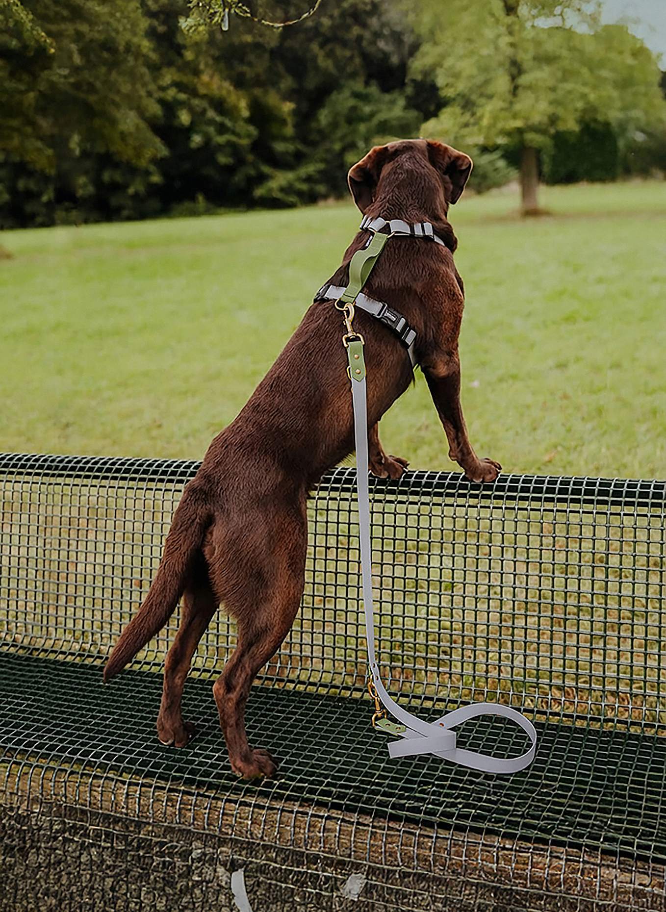 HEY LANA Hundeleine OUTDOOR FLEX: GRAU/ GRÜN