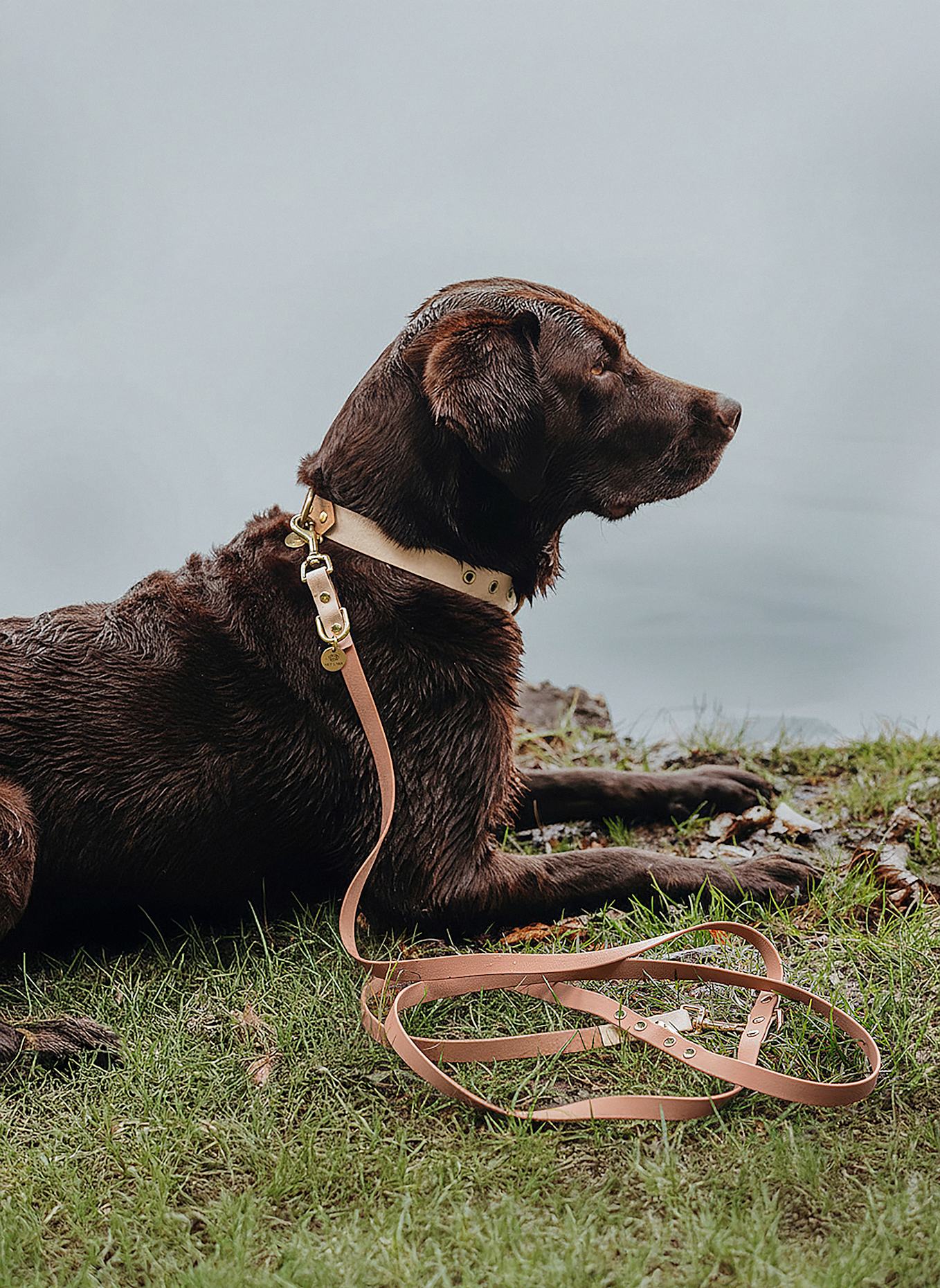 HEY LANA Hundeleine OUTDOOR FLEX: CAMEL/ BEIGE