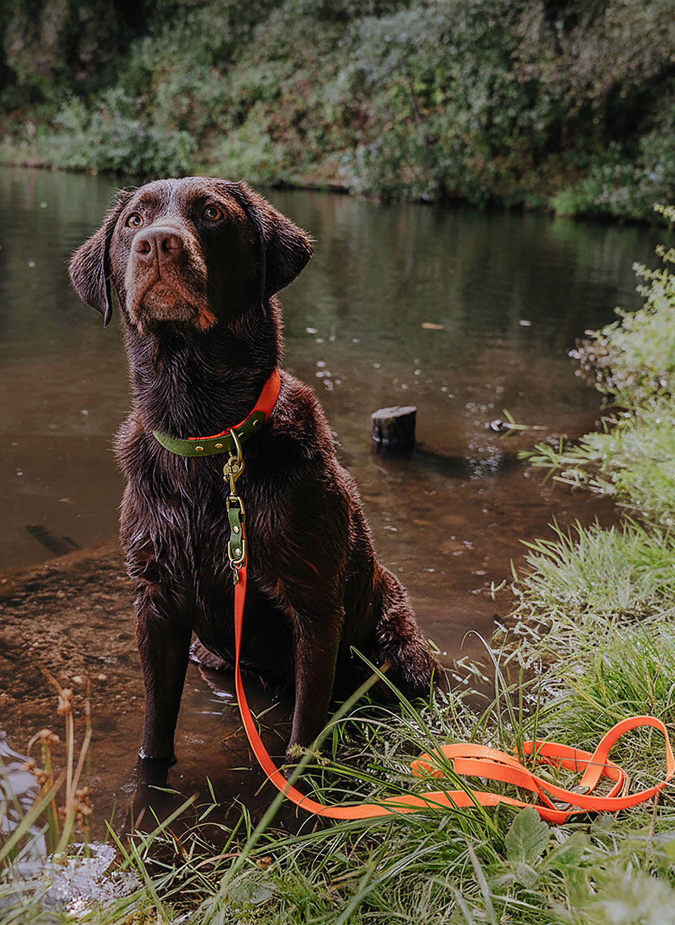 HEY LANA Hundeleine OUTDOOR FLEX: NEONORANGE/ GRÜN