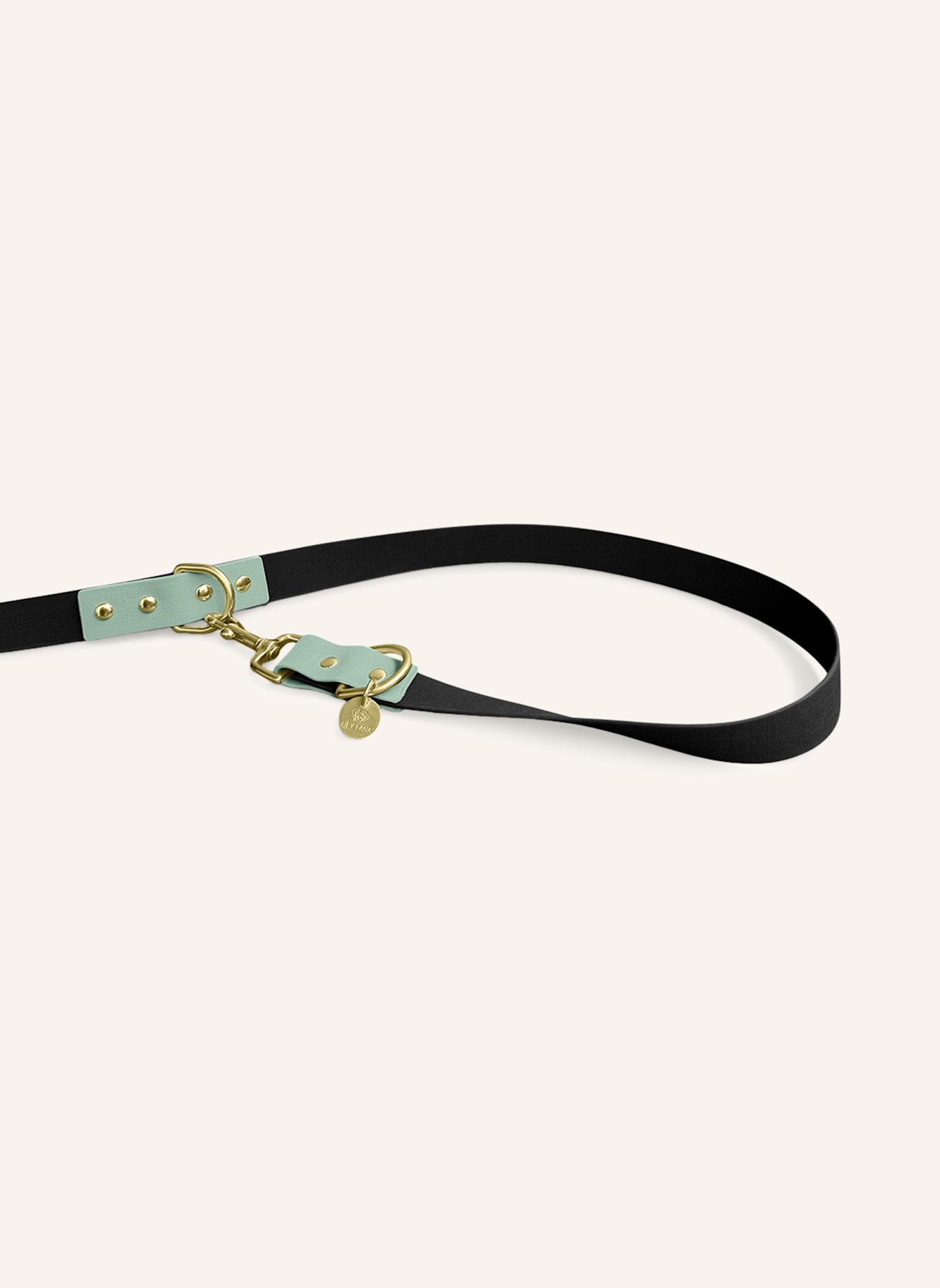 HEY LANA Hundeleine OUTDOOR FLEX: SCHWARZ/ MINT