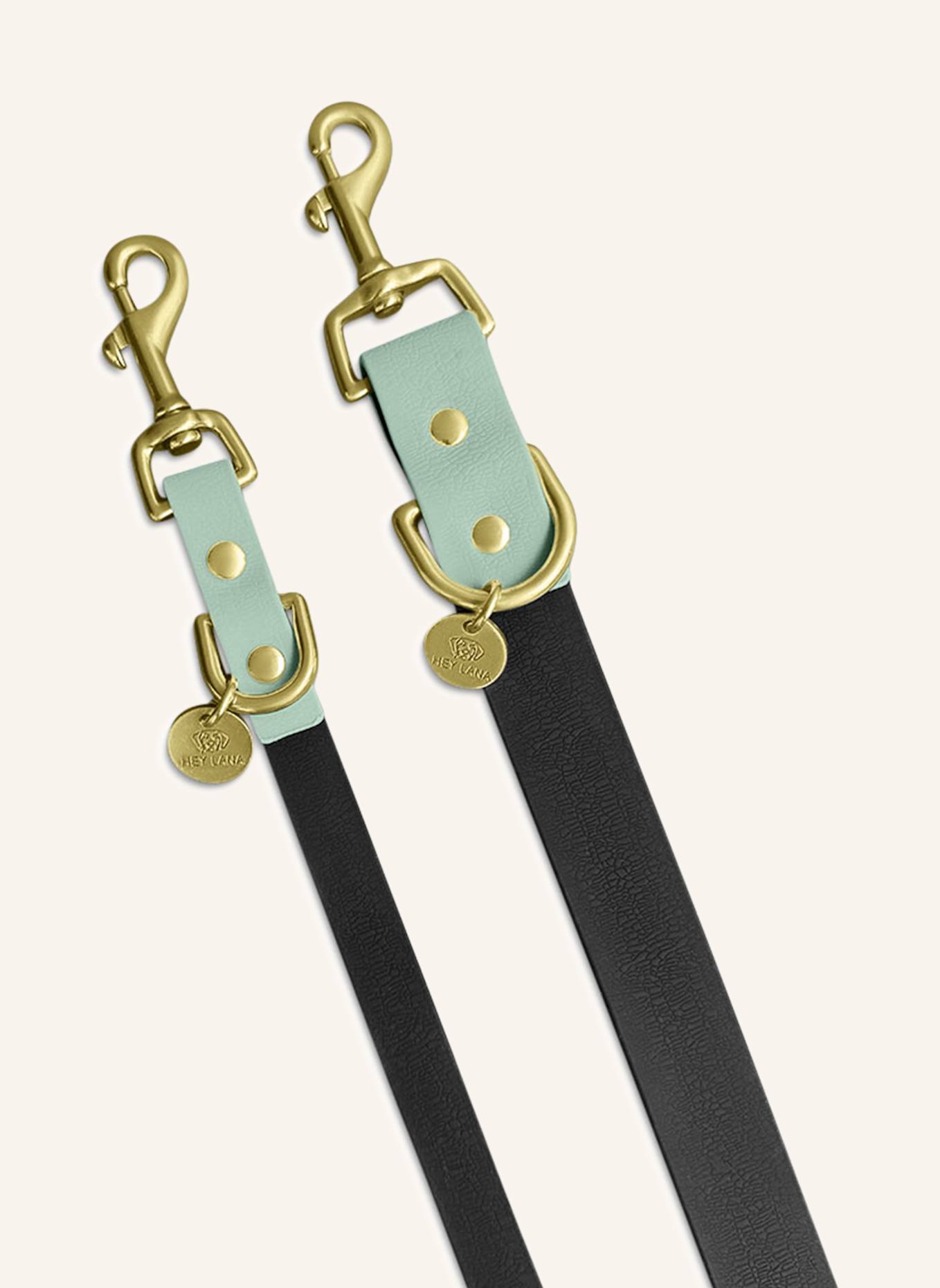 HEY LANA Hundeleine OUTDOOR FLEX: SCHWARZ/ MINT