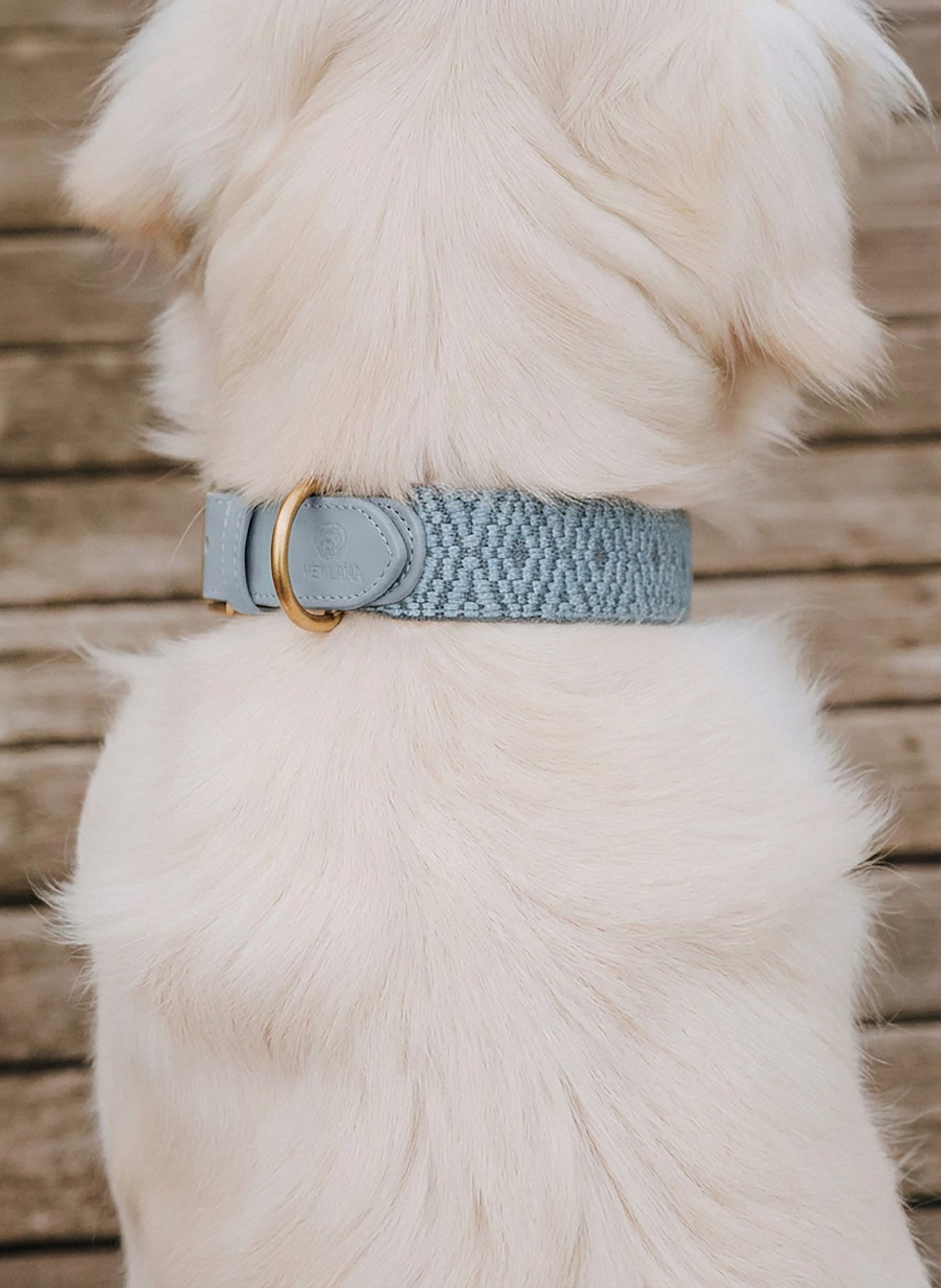 HEY LANA Hundehalsband TRÈS CHIC: GRAU/ HELLBLAU
