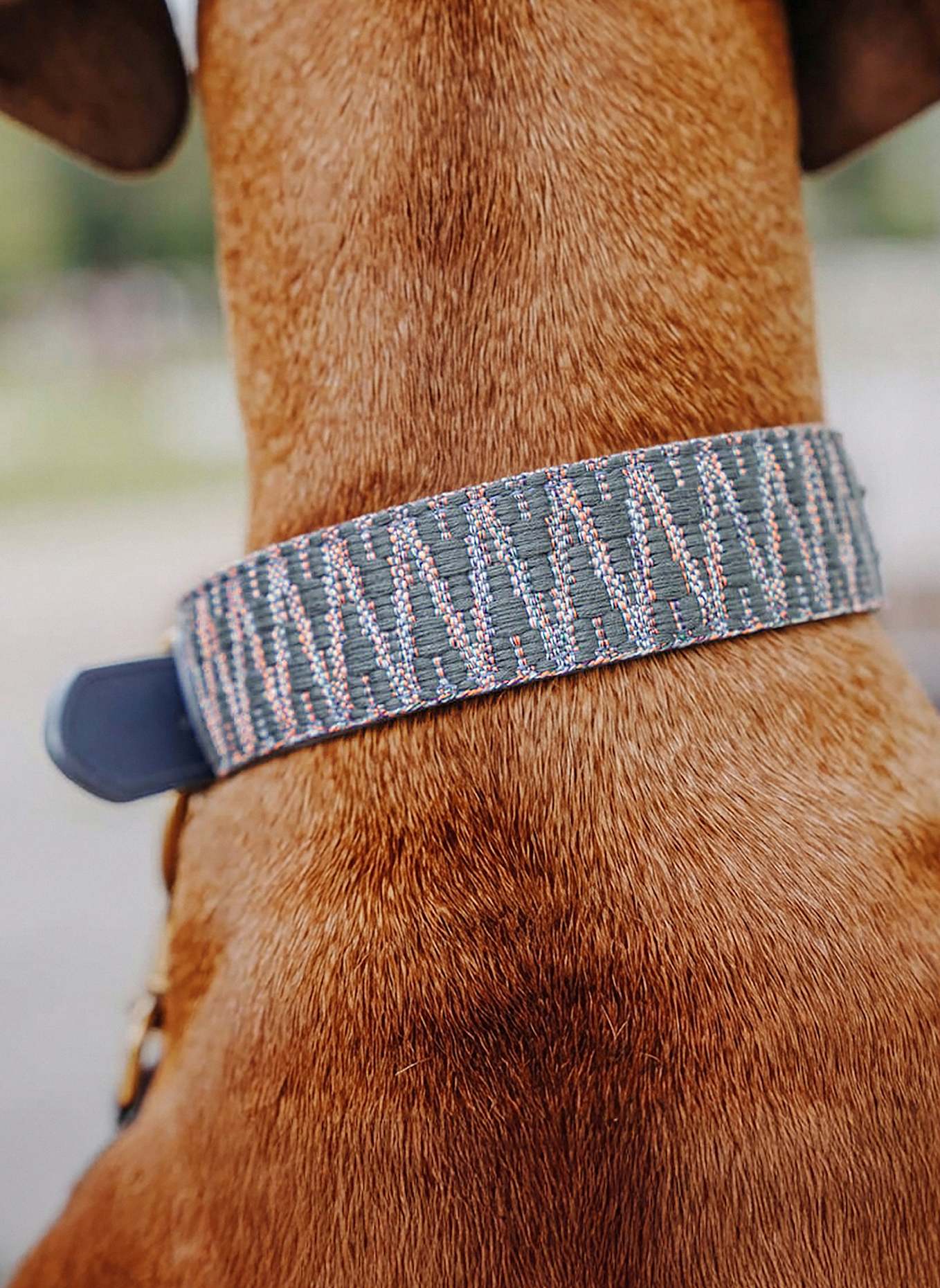 HEY LANA Hundehalsband TRÈS CHIC: BLAU/ GRAU