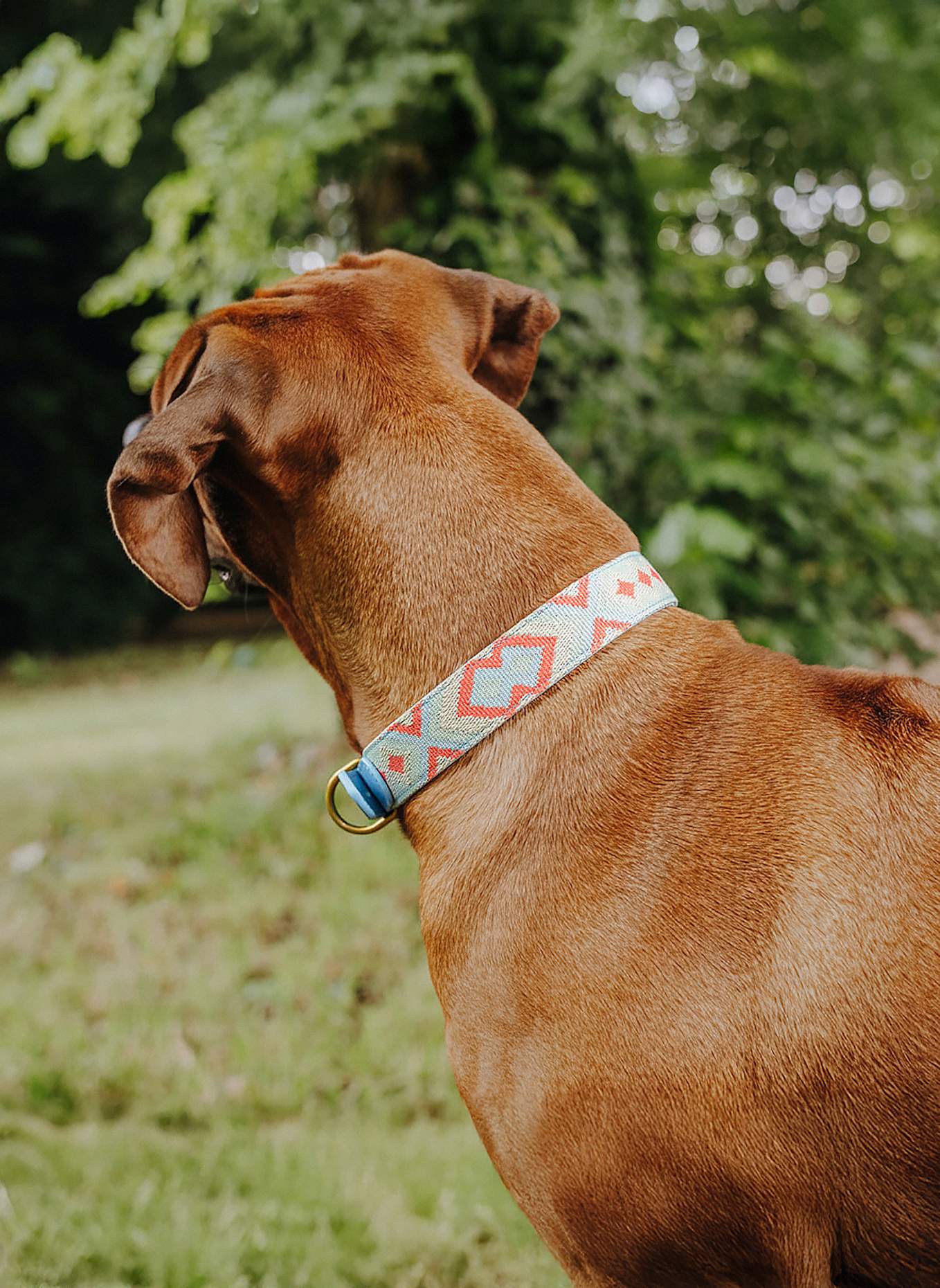 HEY LANA Hundehalsband TRÈS CHIC: ROT/ HELLBLAU