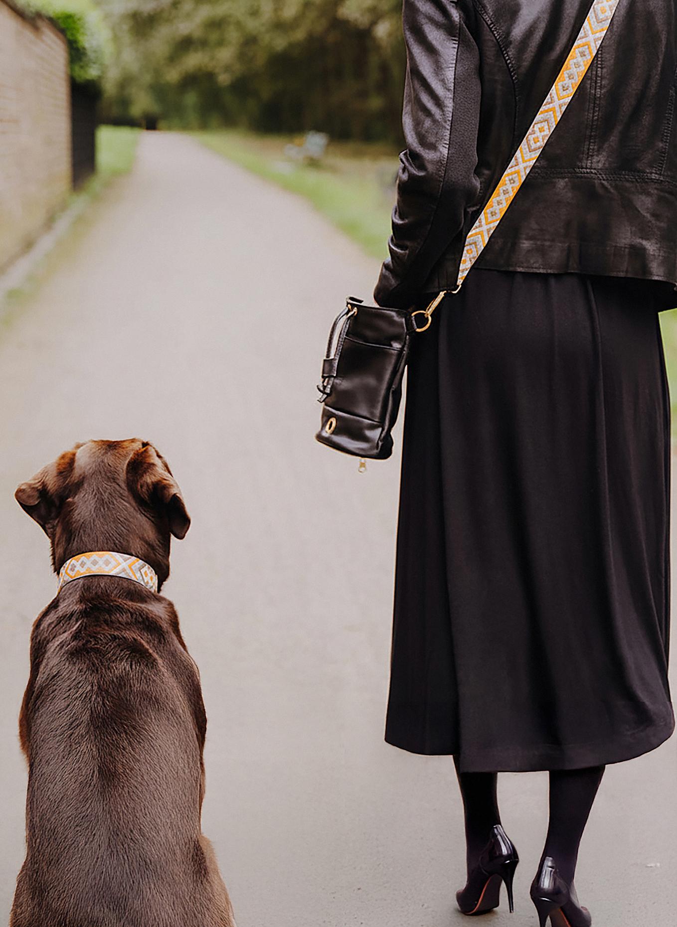 HEY LANA Hundehalsband TRÈS CHIC: MINT/ ORANGE