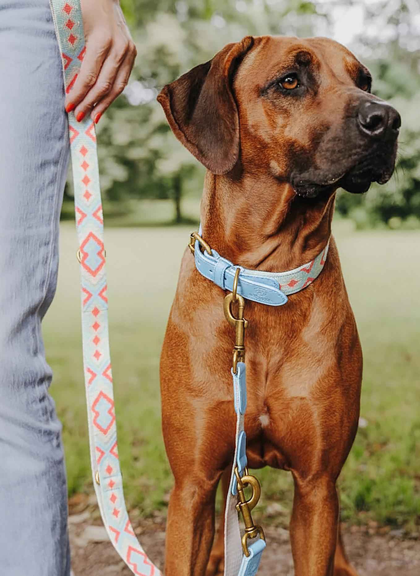 HEY LANA Hundeleine TRÈS CHIC: ROT/ HELLBLAU